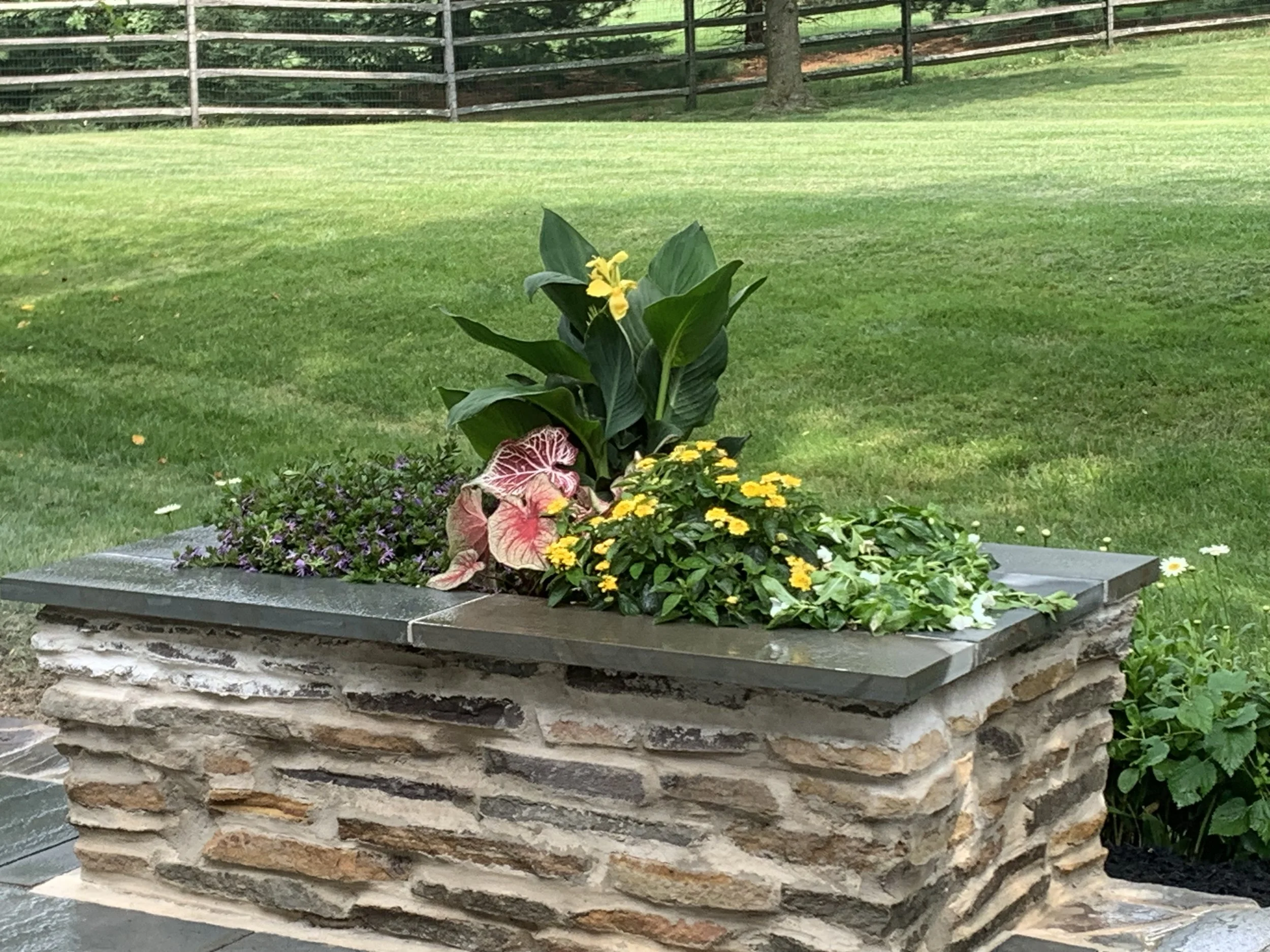 Mergentime - planter box 2.jpeg