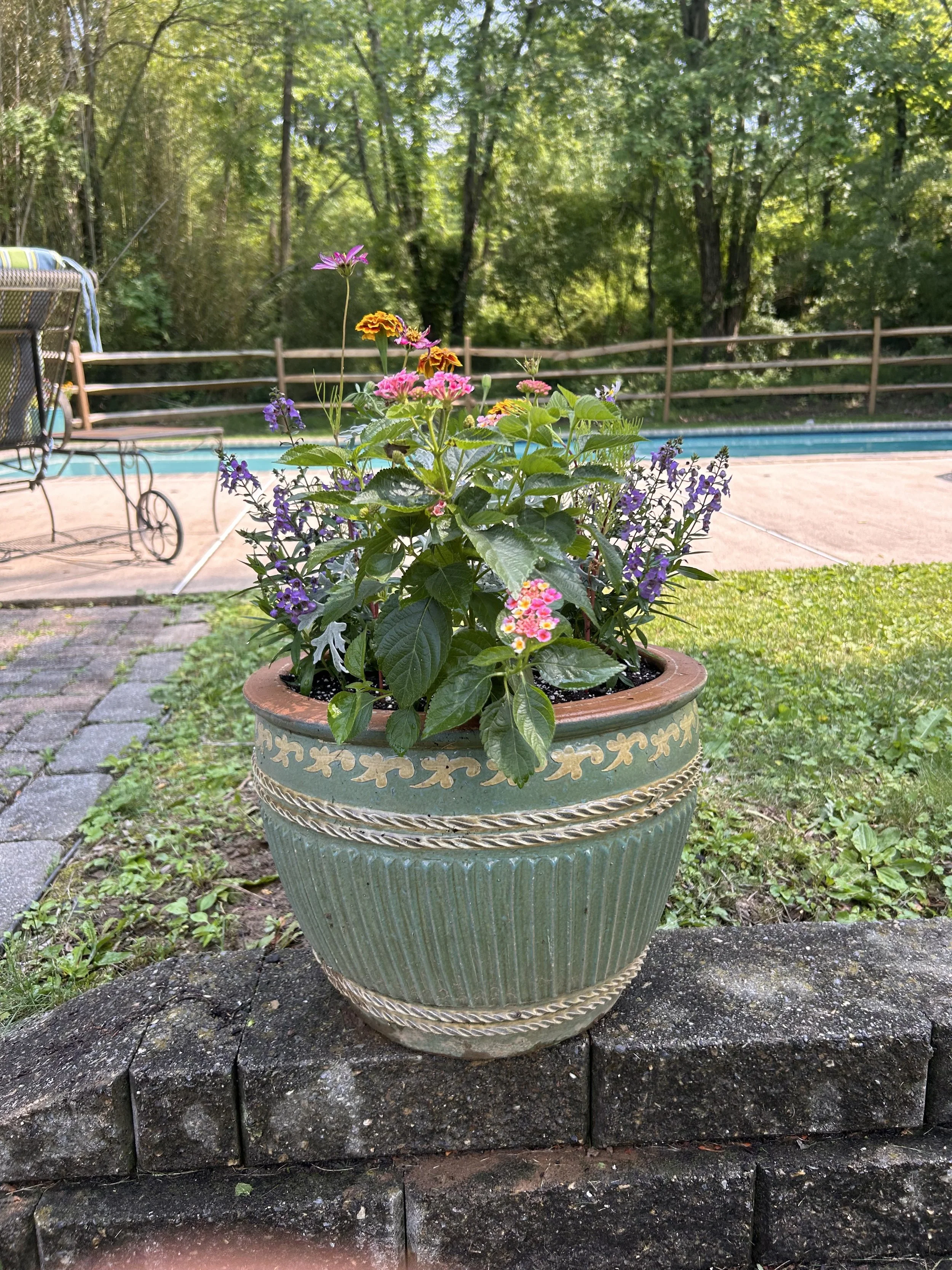 Blundon - planter 7 of 2025.jpeg