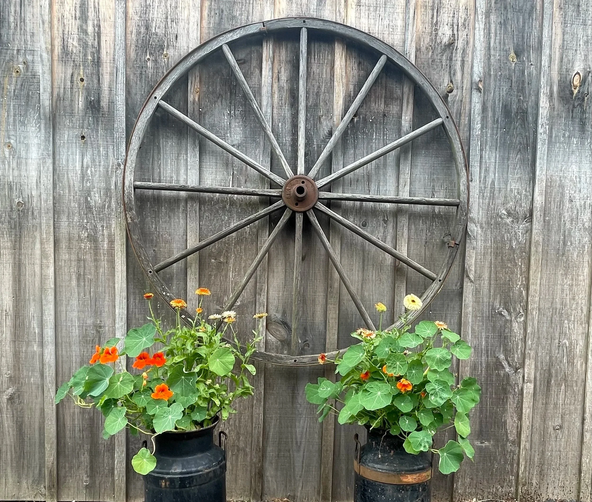 Wagon+Wheel+2+planters.jpg