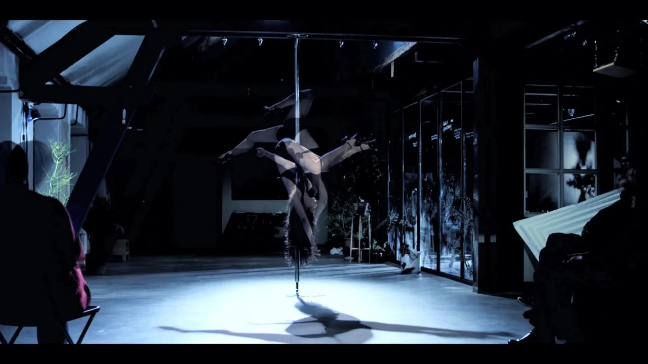 Death of the Pole Dancer (2011) | Photo grabbed from Vimeo.