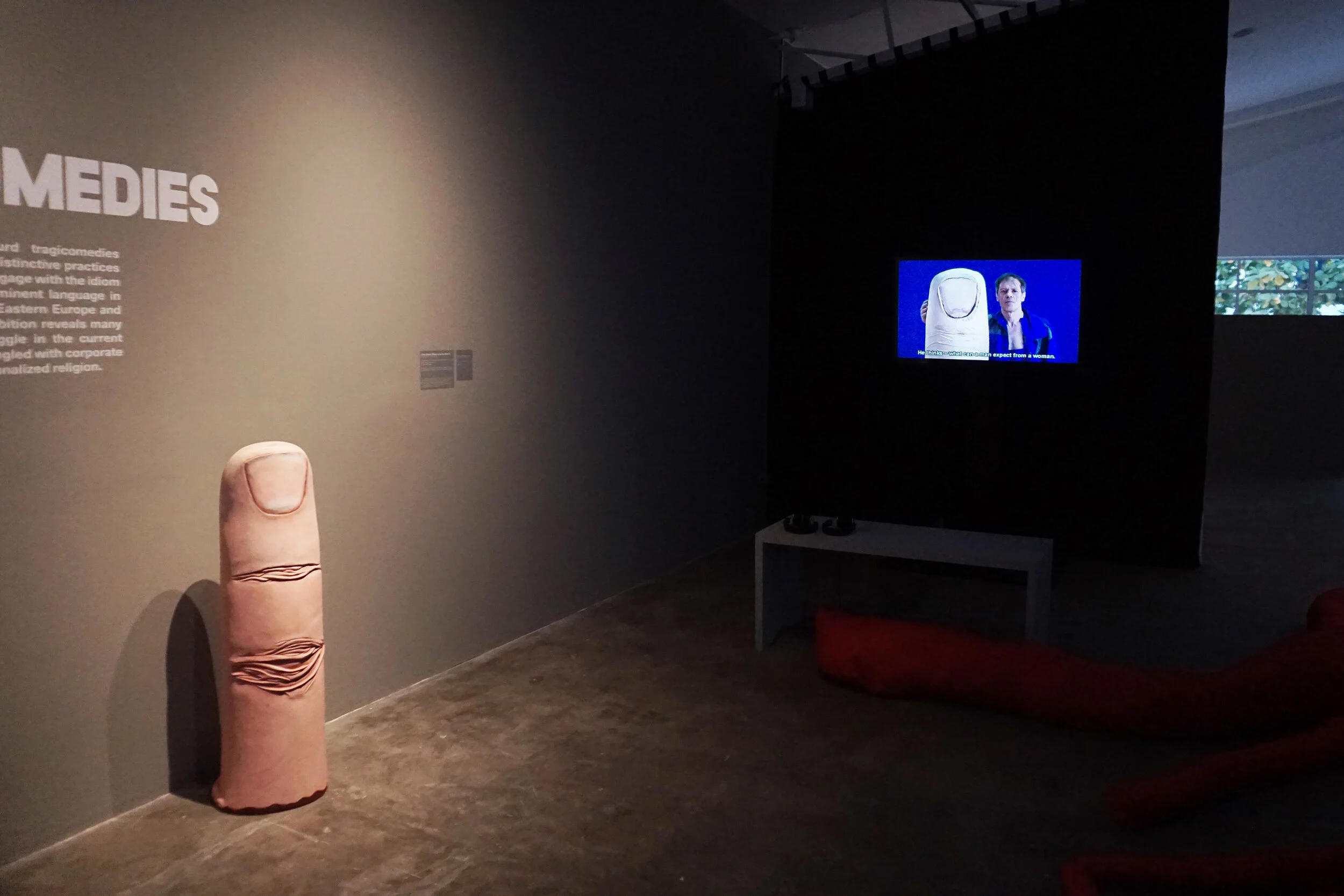 Installation shot of Songspiels and Tragicomedies_04.JPG
