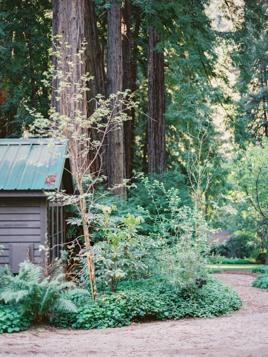 Big Sur Elopement Website Gallery-10.jpg