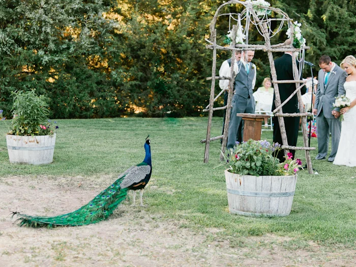 Kimberli+Caleb Wedding Blog FINAL-43