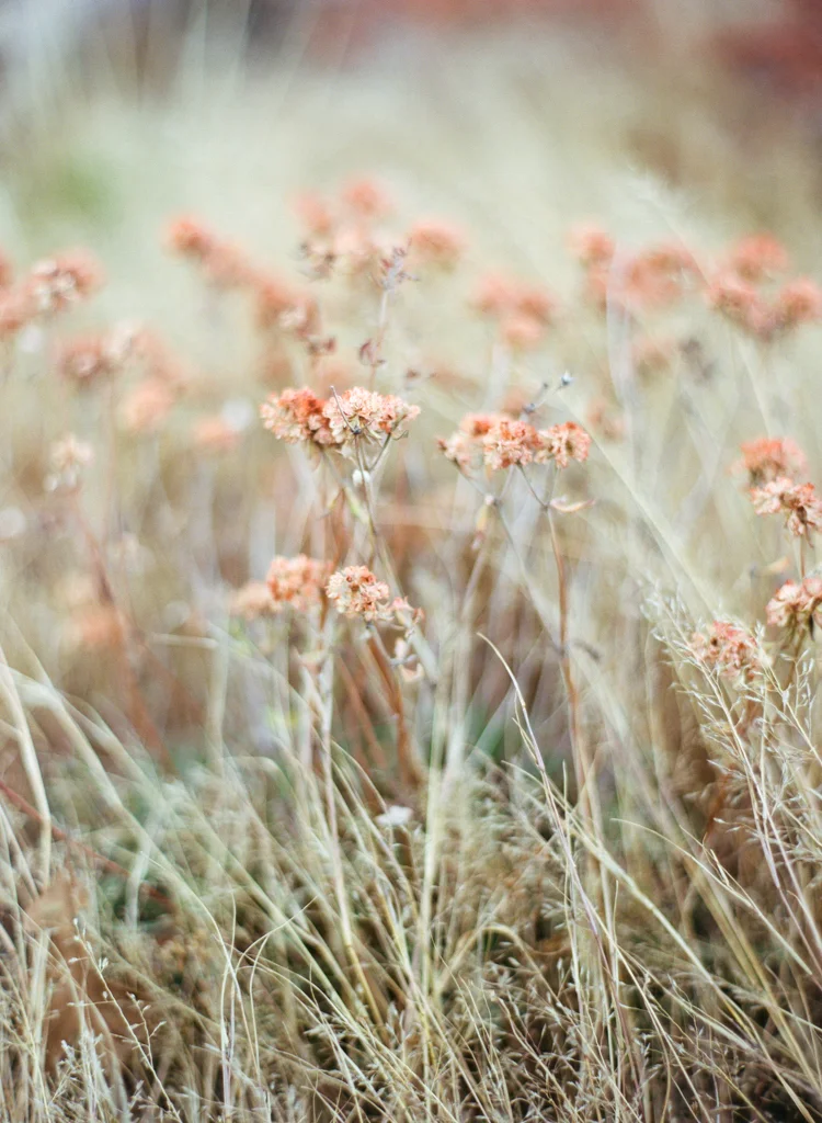 Adventure Blog Post-60