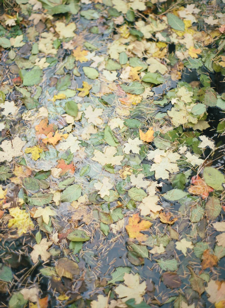 Adventure Blog Post-63