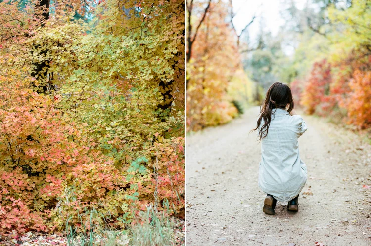 Adventure Blog Post-7
