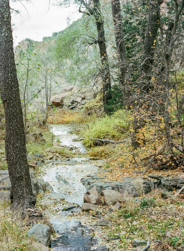 Adventure Blog Post-8