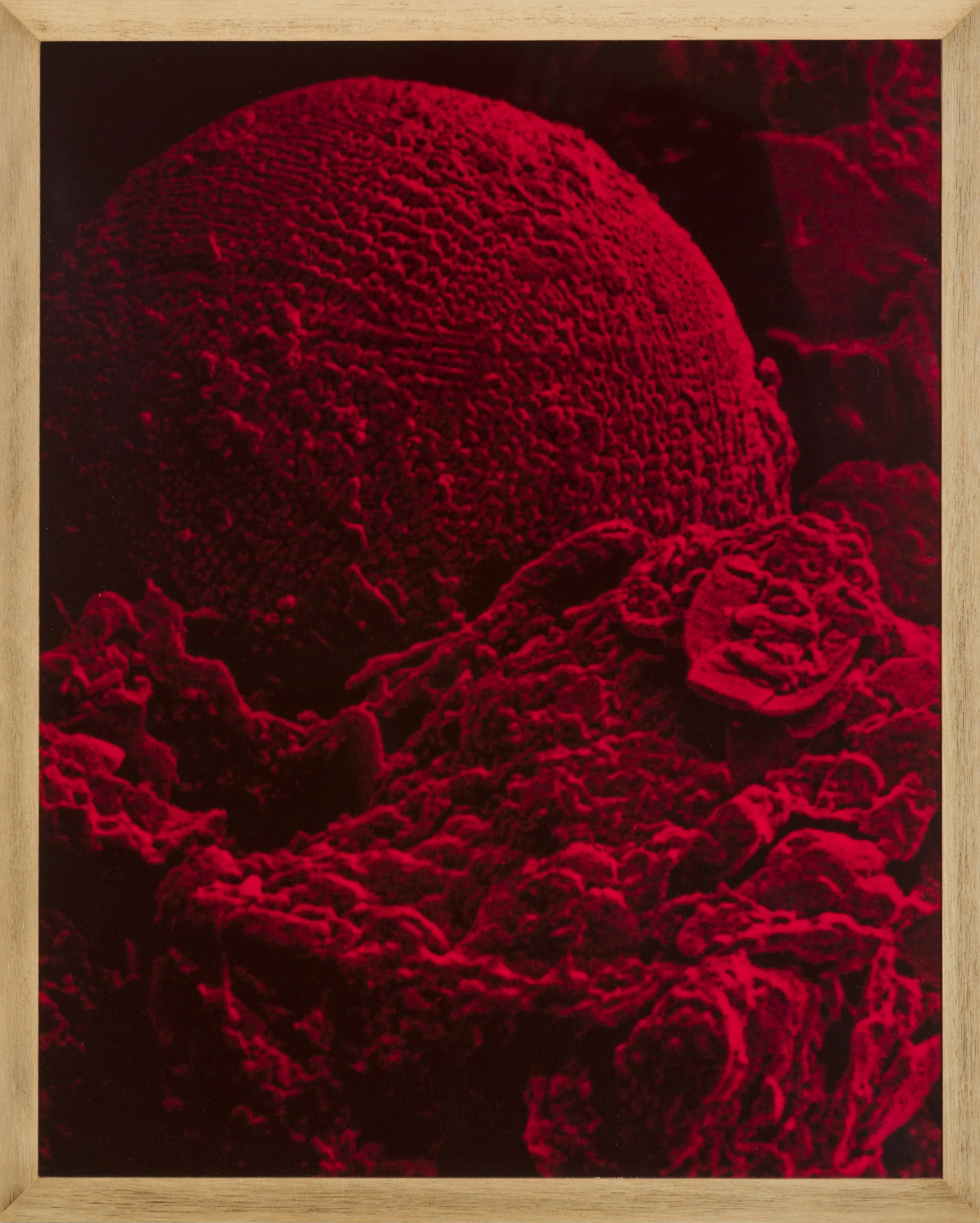 The Paine of Foresight , 2017, Image Courtesy: Mathew Lynn