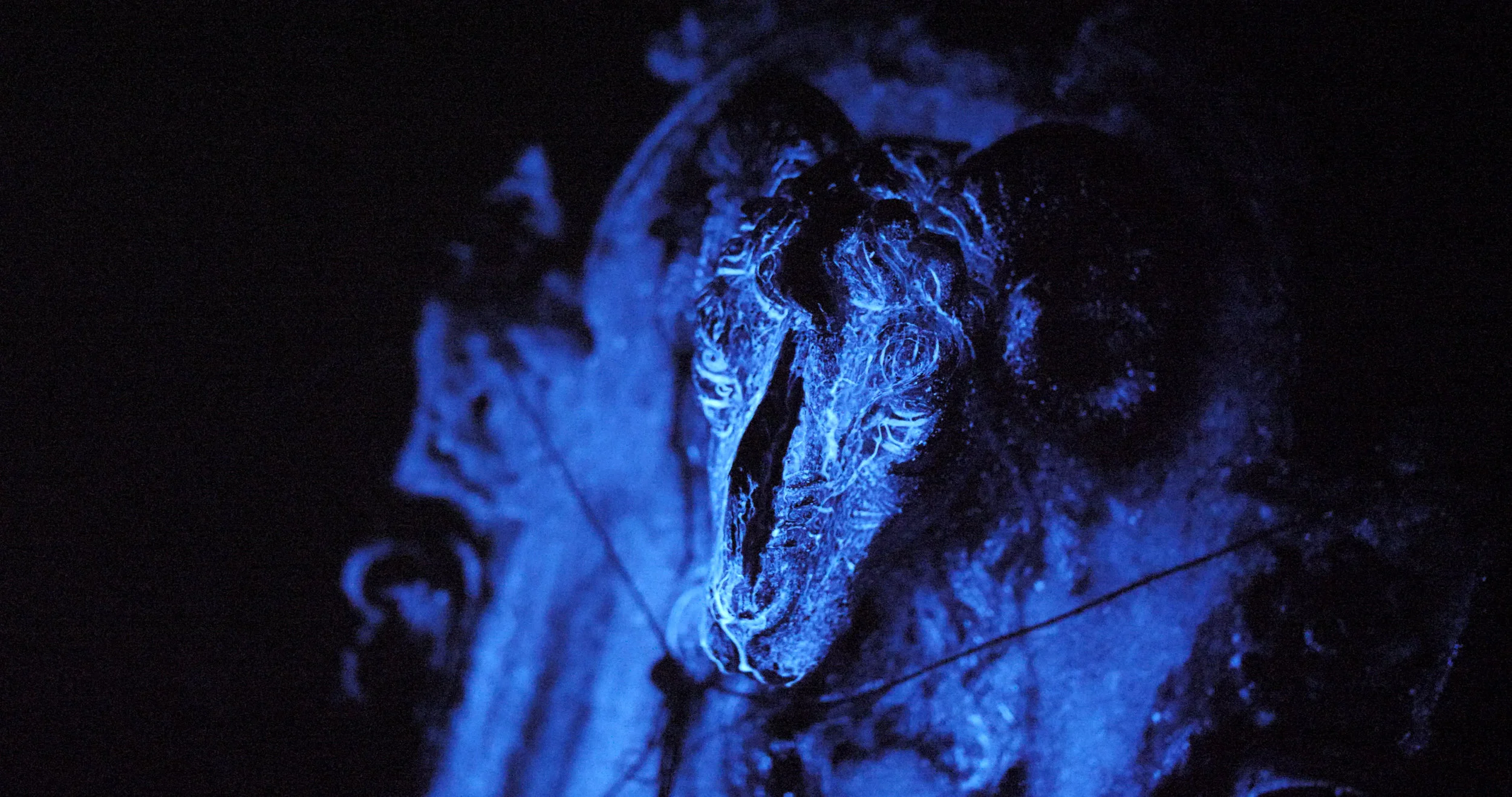 LUMINOL RAM.jpg