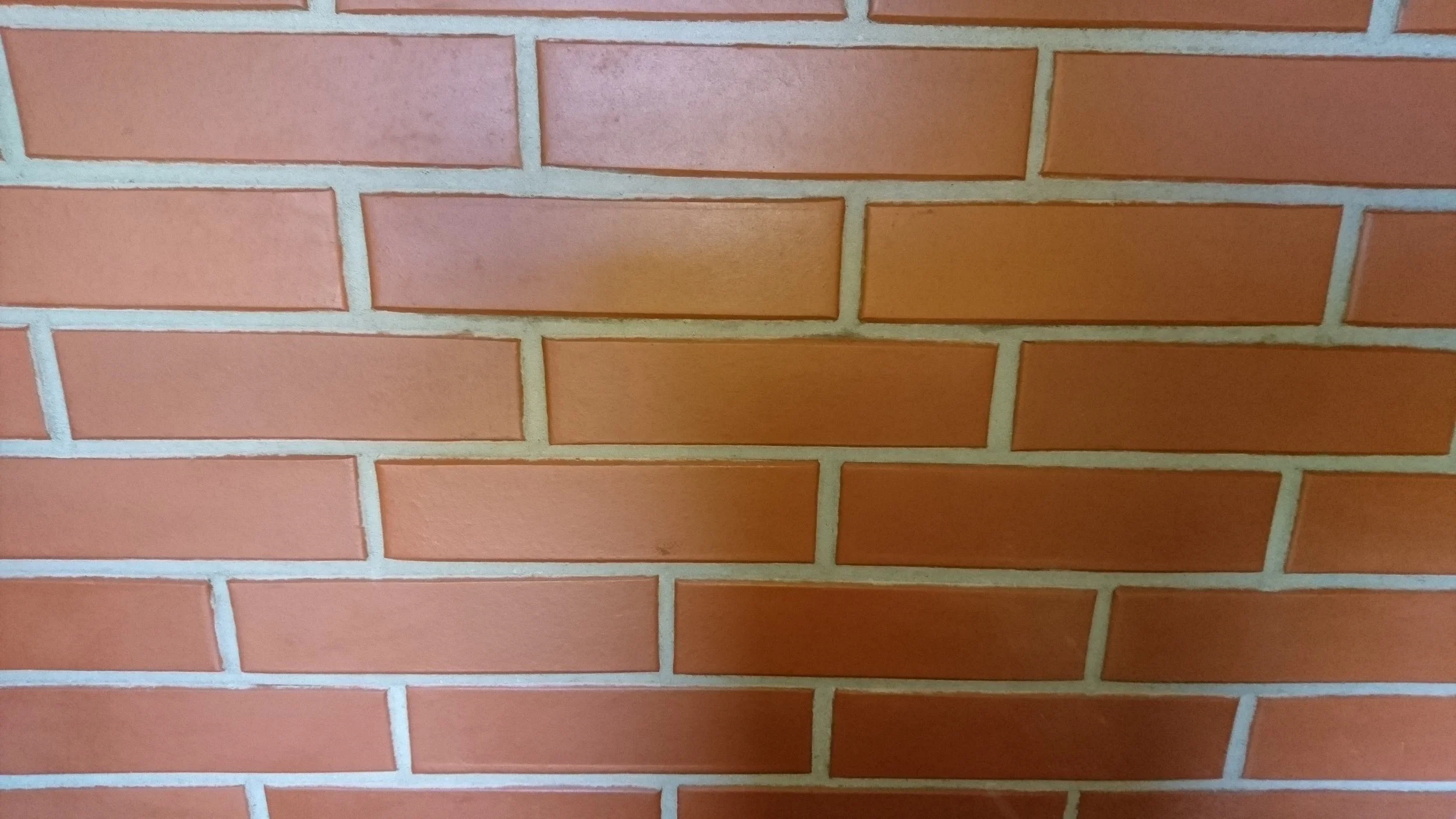 20170605_193512.jpg