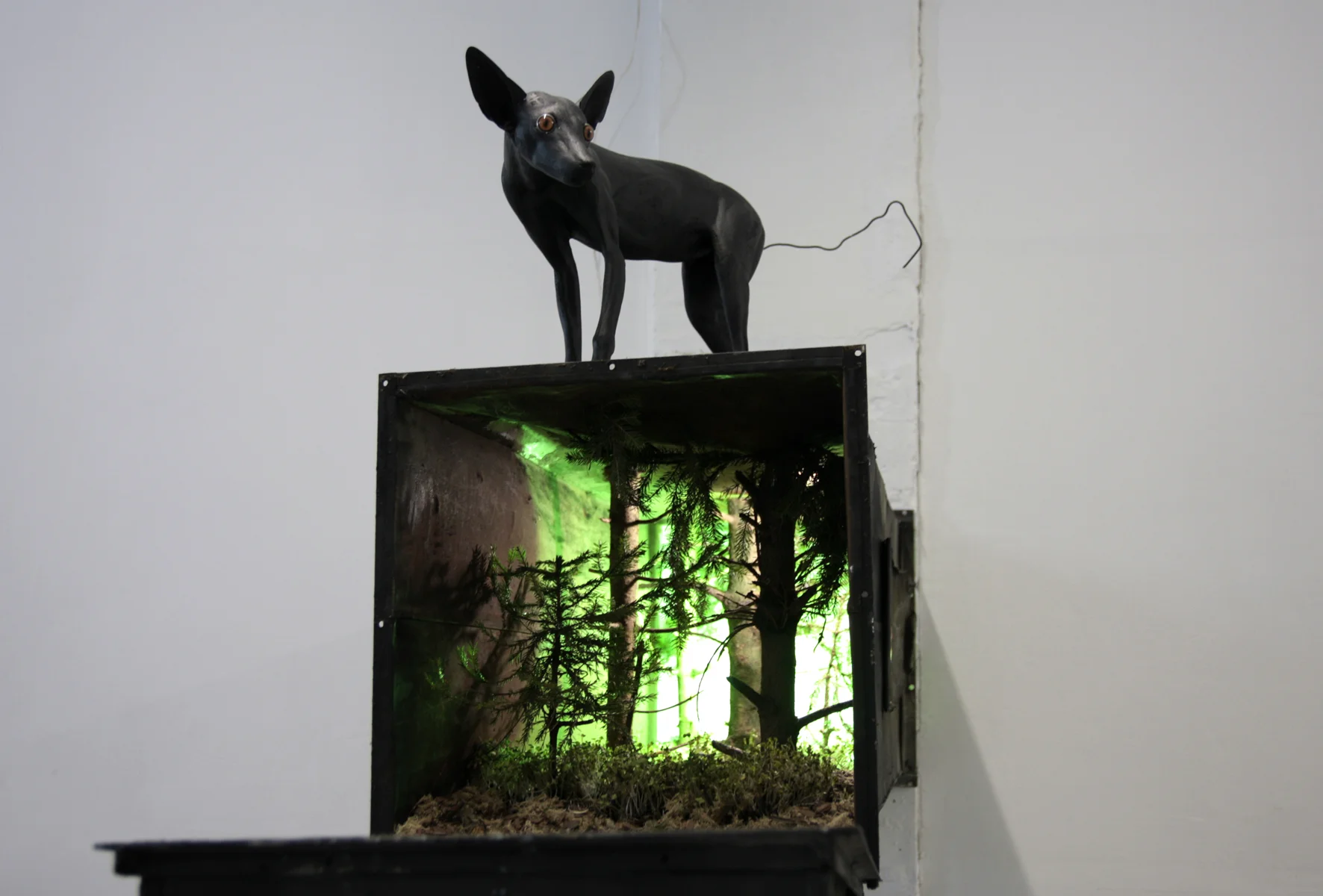   Inner taiga / внутренняя тайга  (detail) &nbsp; 2013, used ventilation tube, spruce trunk, needles, moss, taxidermy mannequin, 180x45x200cm               G  M  T                   Определить язык  Азербайджанский  Албанский  Английский  Арабский  А