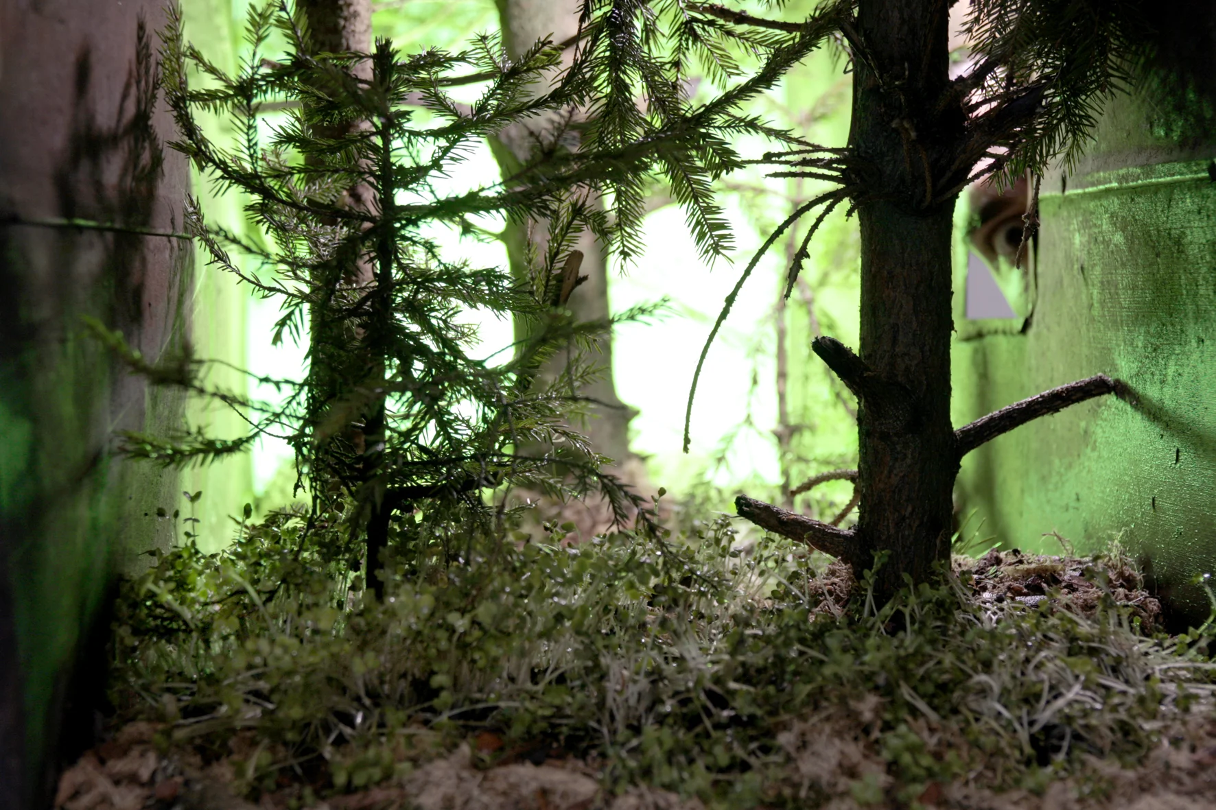   Inner taiga / внутренняя тайга  (detail)               G  M  T                   Определить язык  Азербайджанский  Албанский  Английский  Арабский  Армянский  Африкаанс  Баскский  Белорусский  Бенгальский  Бирманский  Болгарский  Боснийский  Валлий