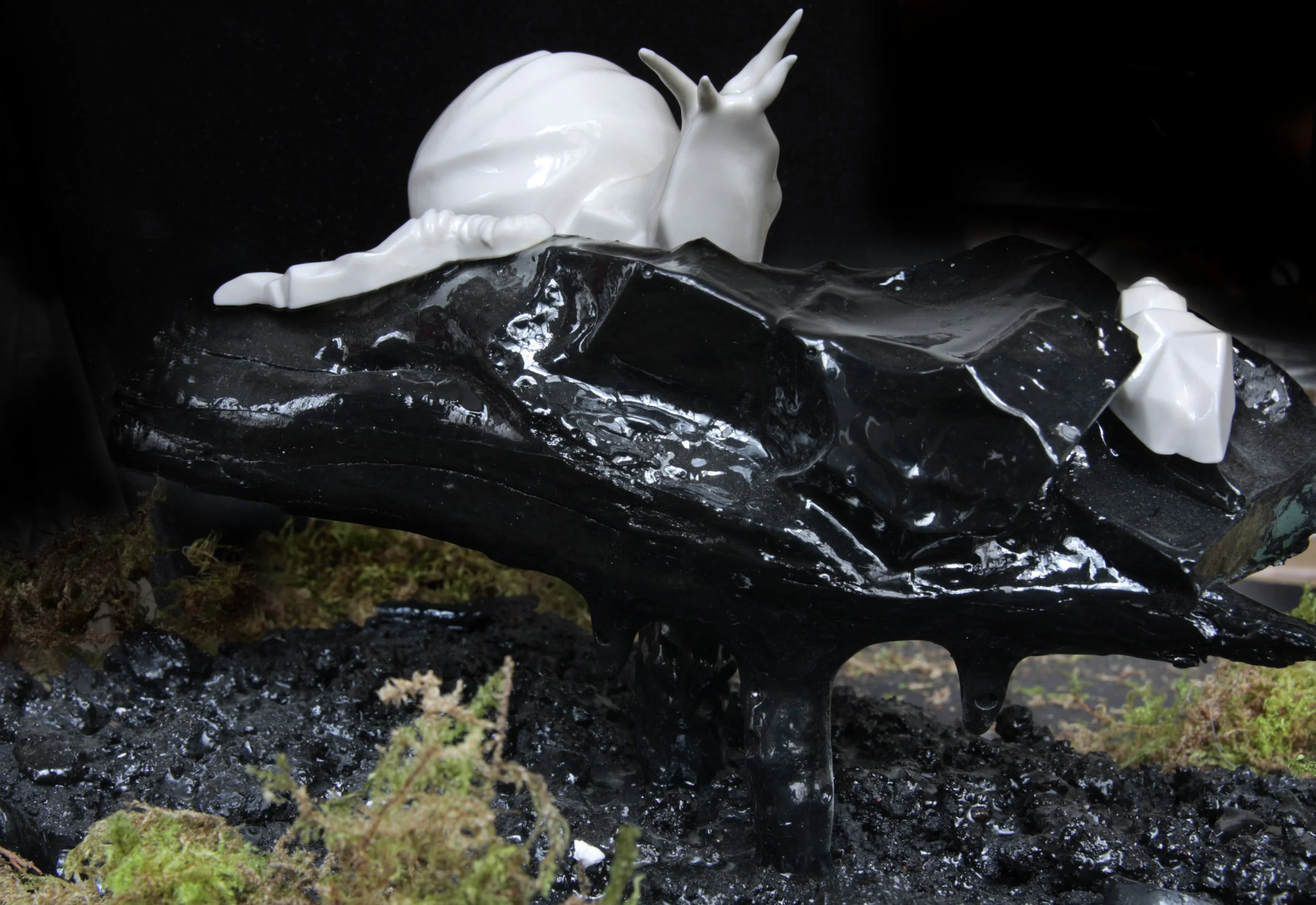 ископаемый лес_образец1.JPG