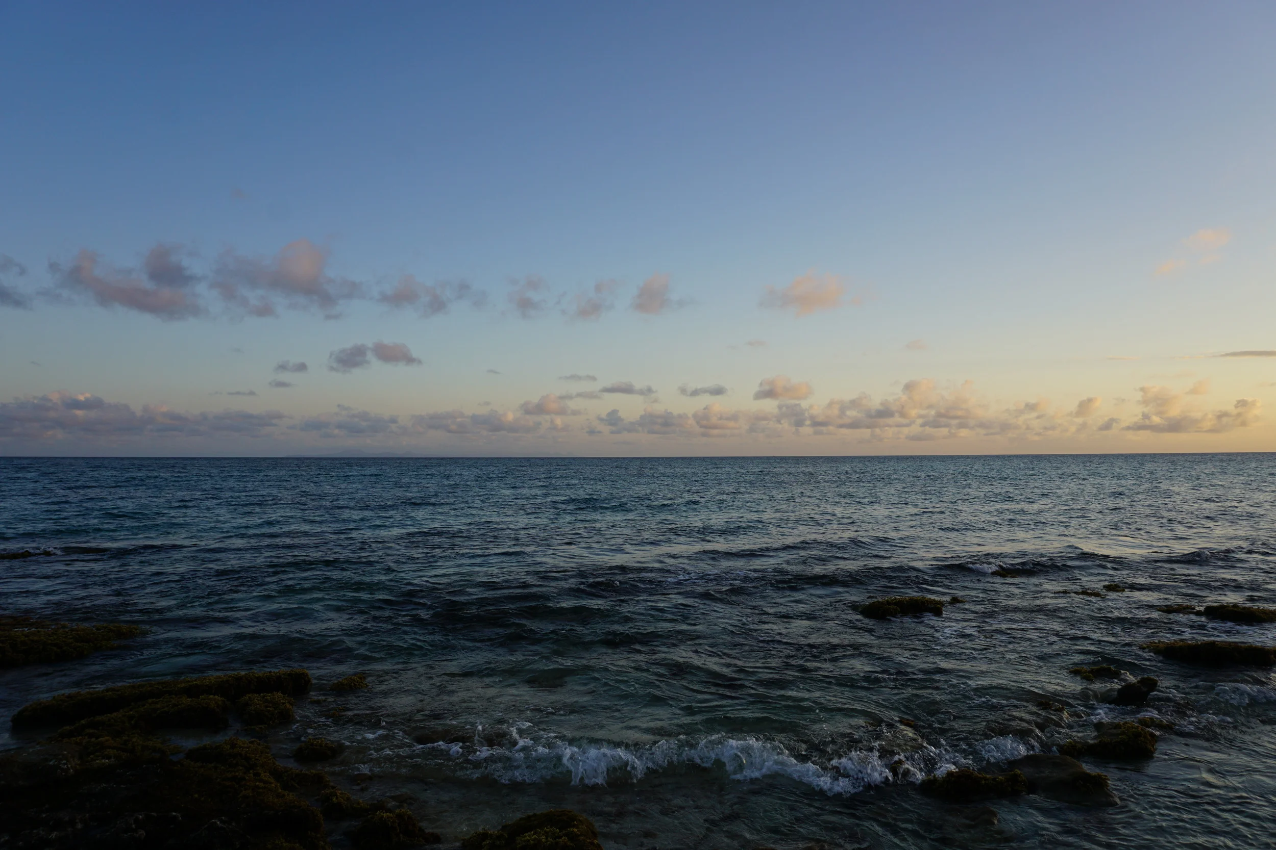 DSC00794.JPG