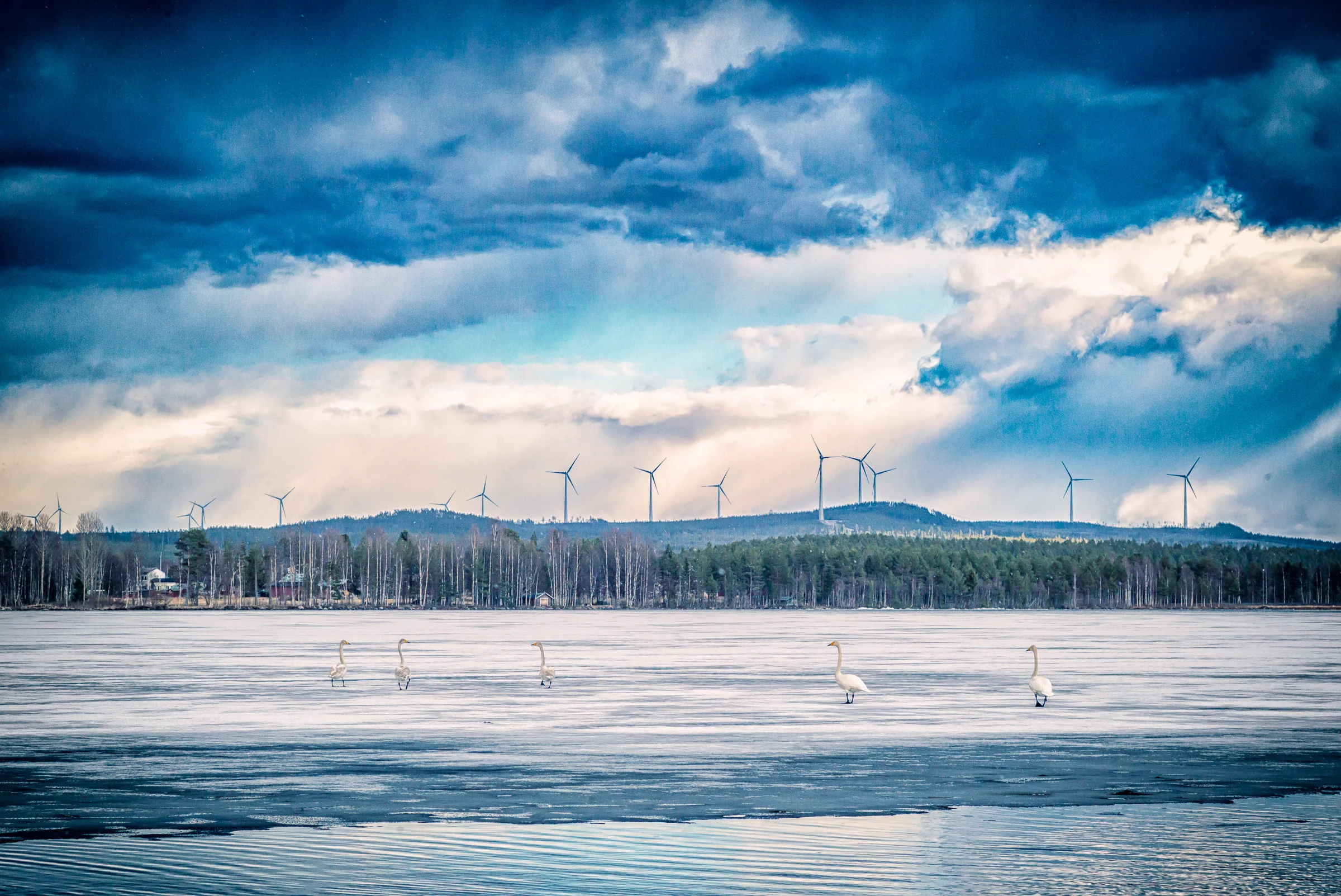 110517_192150_M2403854-Edit-2.jpg