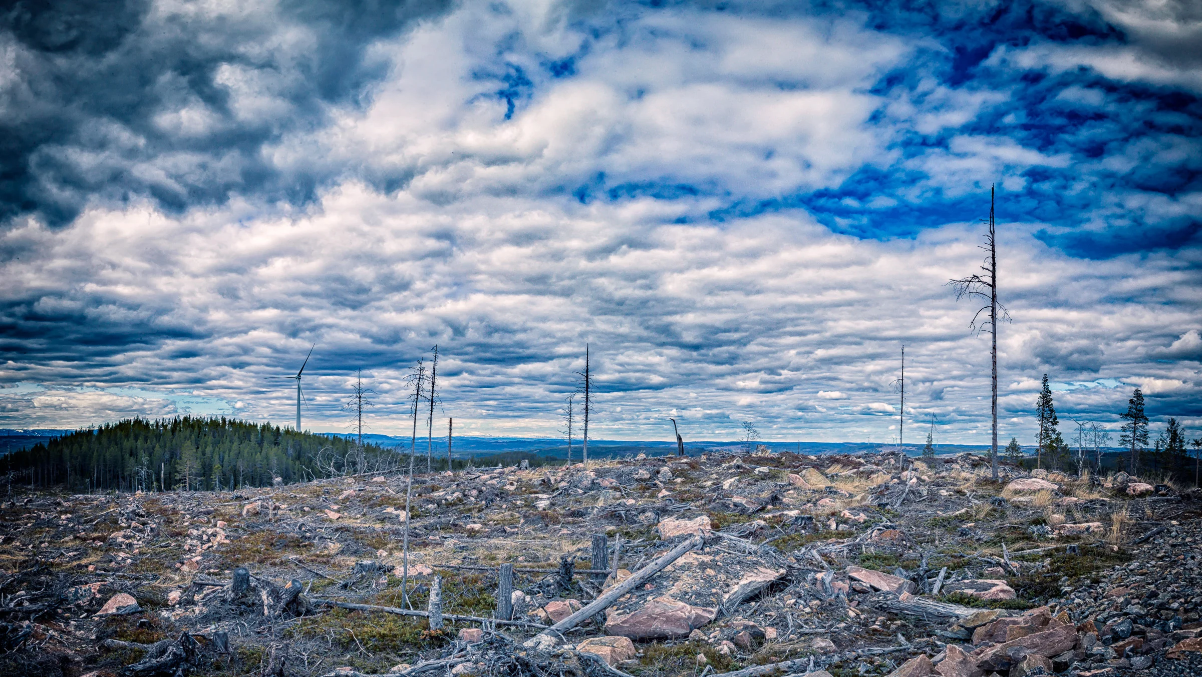 120517_143033_M2403898-Pano-Edit-3.jpg