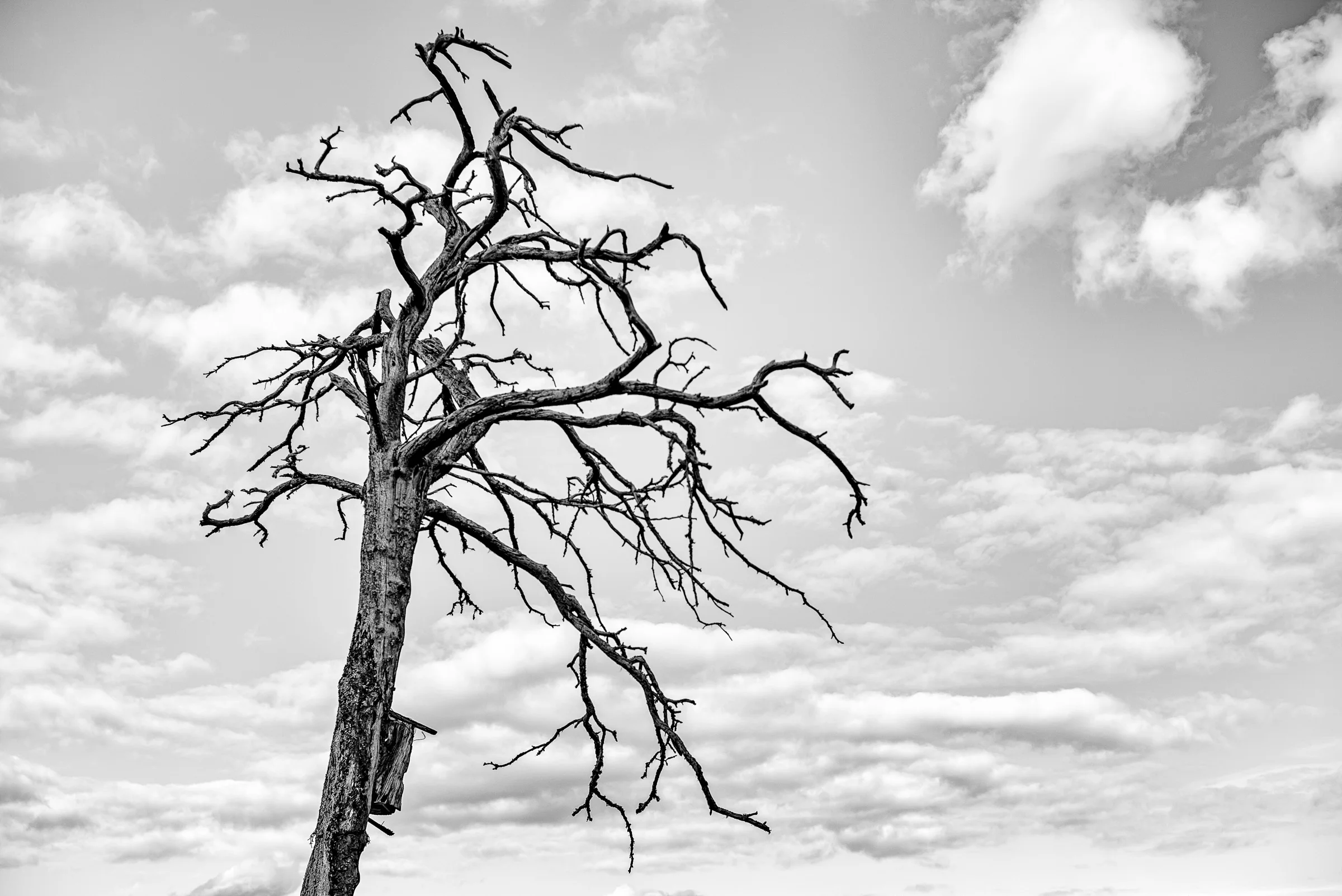 120517_171637_M2403990-Edit-4.jpg