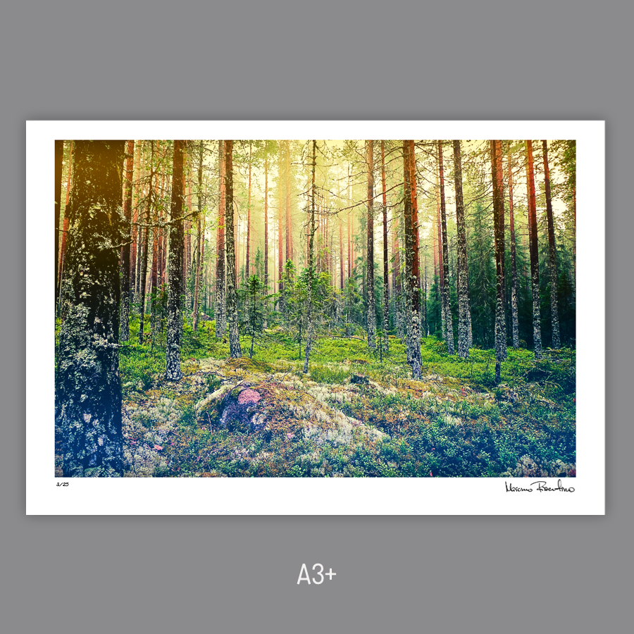 Image preview no border squared A3+.png