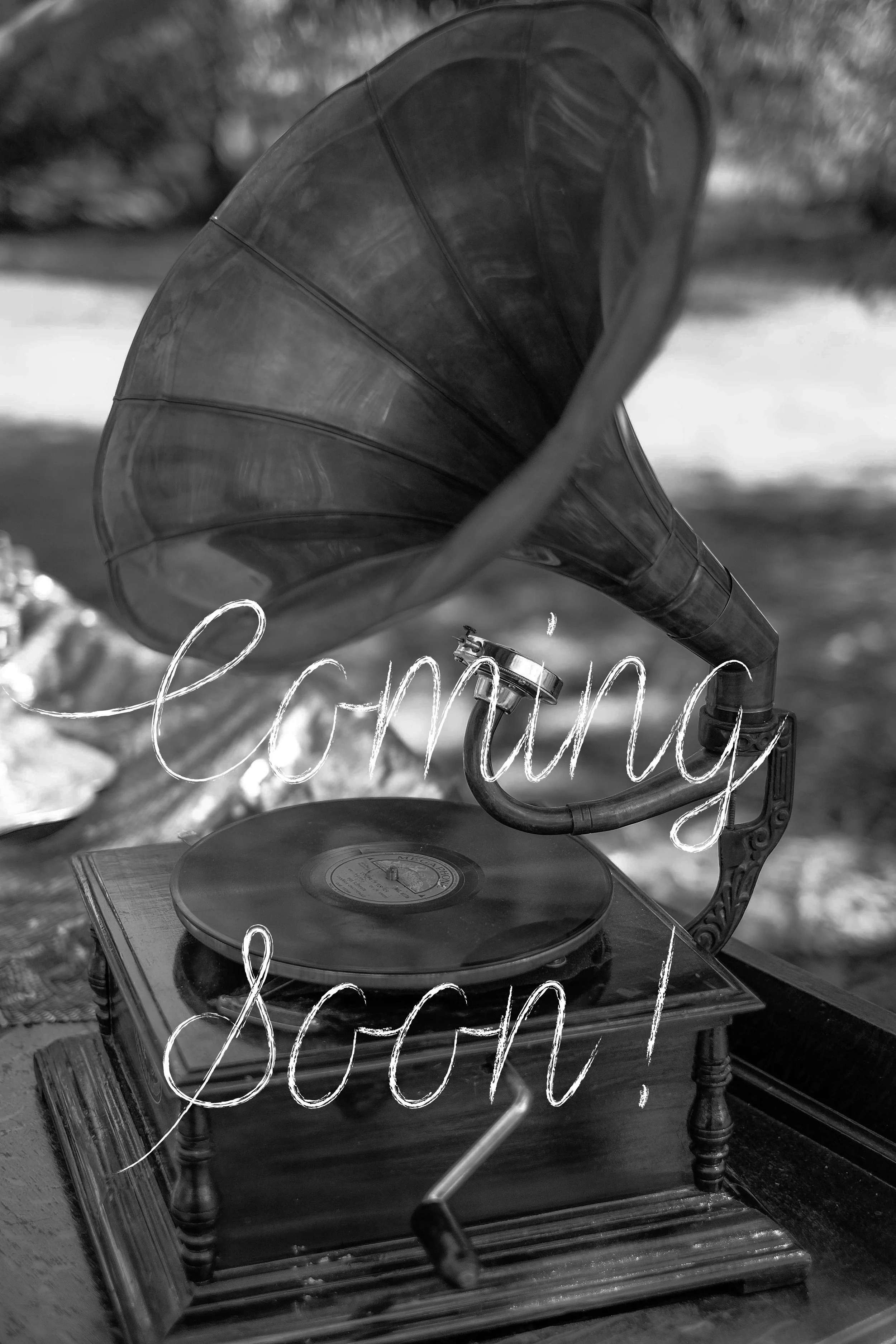 DSCF1173-Edit - coming soon .jpg