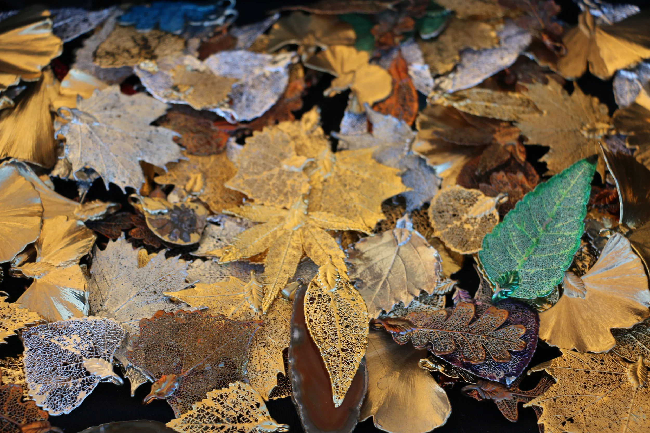 Jill Party and Dog Park 027.JPG