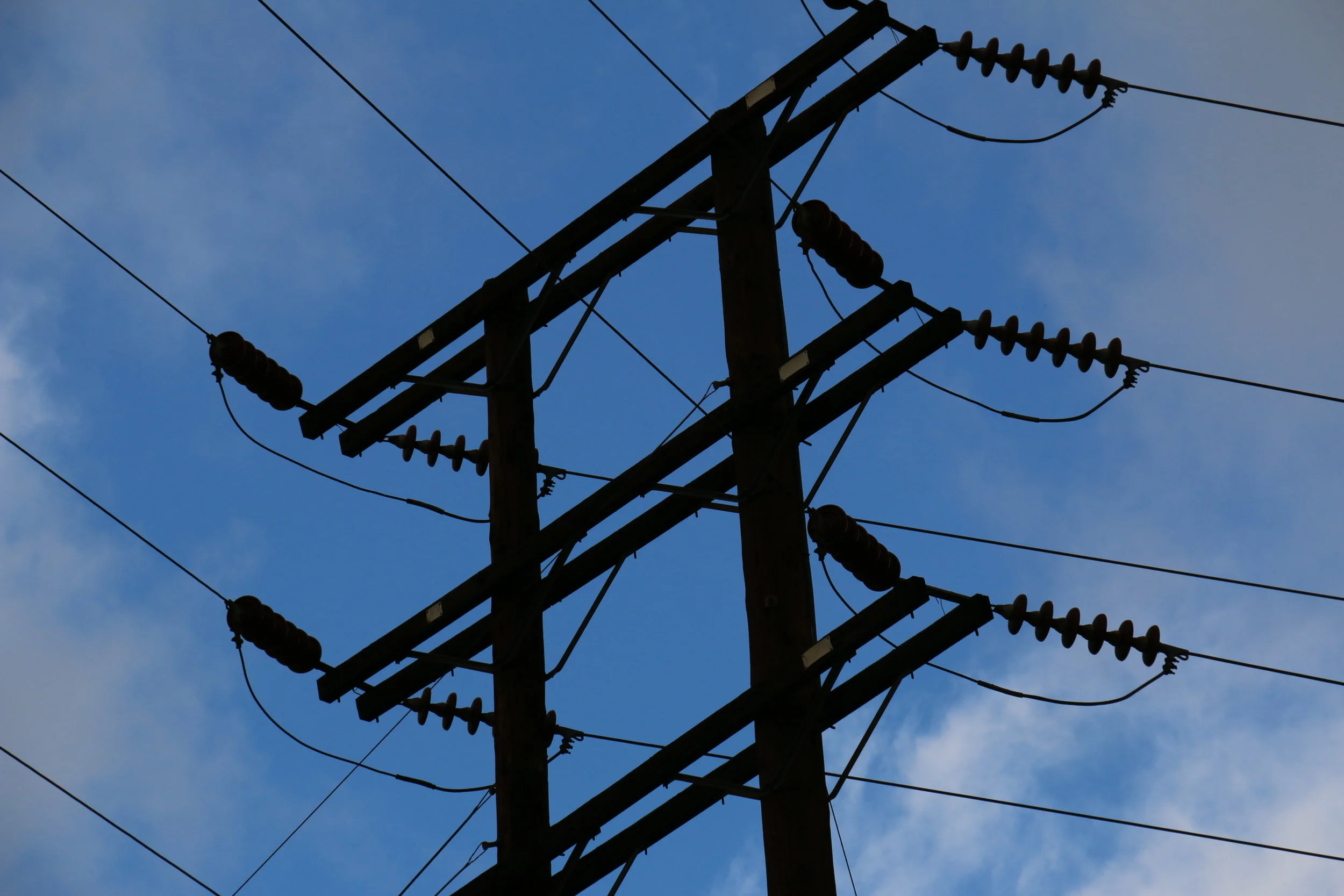 ALL Canon pics round 1 161.JPG