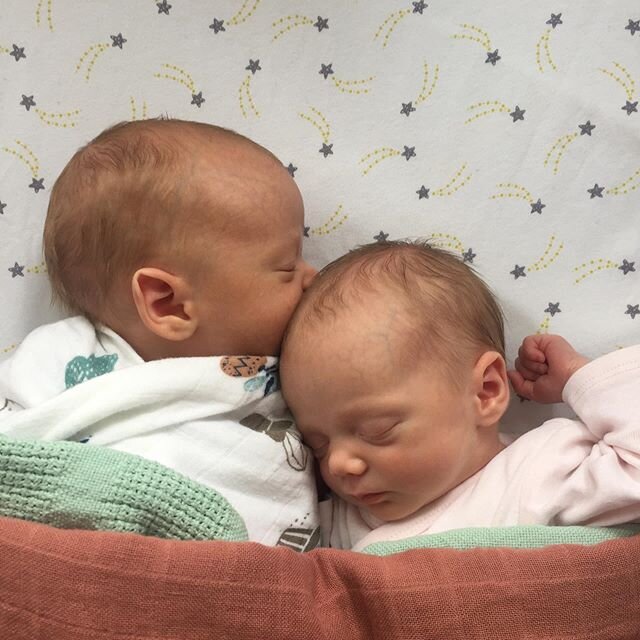 And here they are Frankie and Pip born 01/06/2020- my best work 🥰💕