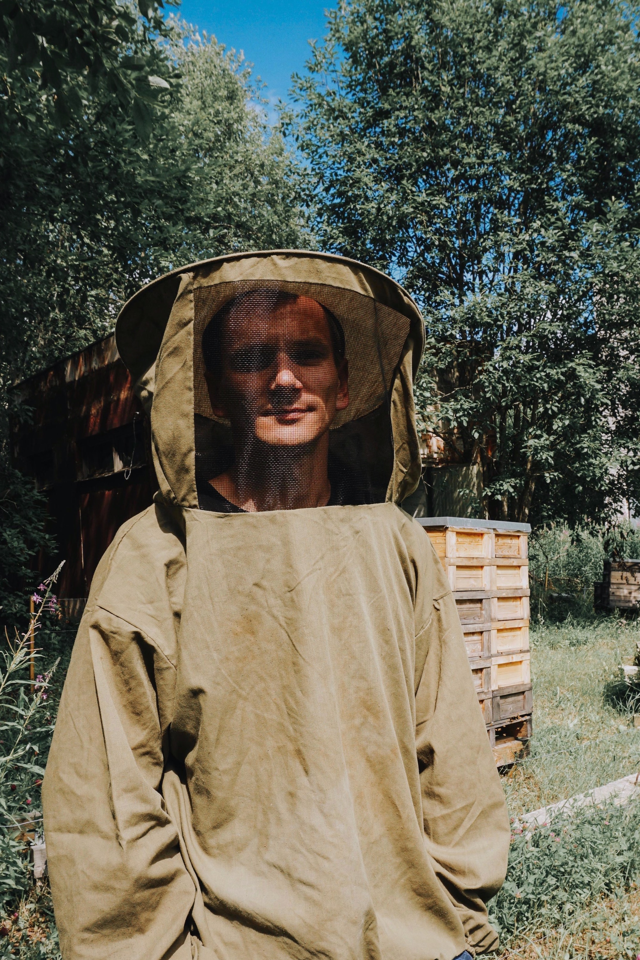 Nordic Honey_Organic Honey_Organic beekeeping_Beekeepers_Bees collecting nectar_Pure Raw Honey_Beehives