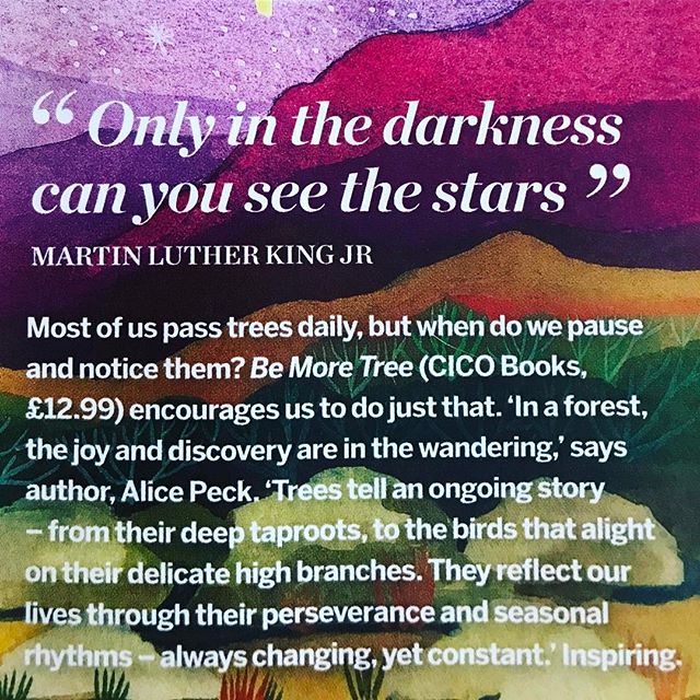 &quot;Only in the darkness can you see the stars&quot; ⭐️ A little inspiration for a chilly Monday morning via Psychologies Magazine #mondaymorning #mondaymotivation #quotes