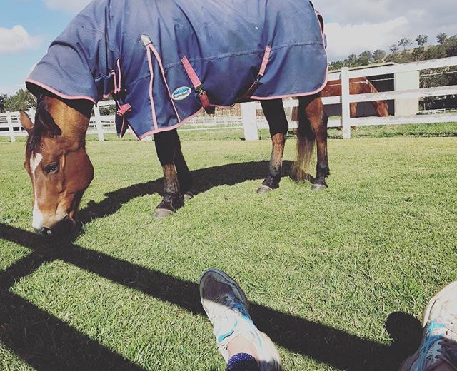 Spring time means riding time 🙌 It also means a lot of horse hair as Aussie starts to shed his winter coat 🐎 So I'll be living off zyrtec for the next few months 😊 #worthit #horses #horseriding #findyourpassion #hobbies #worklife #worklifebalance 