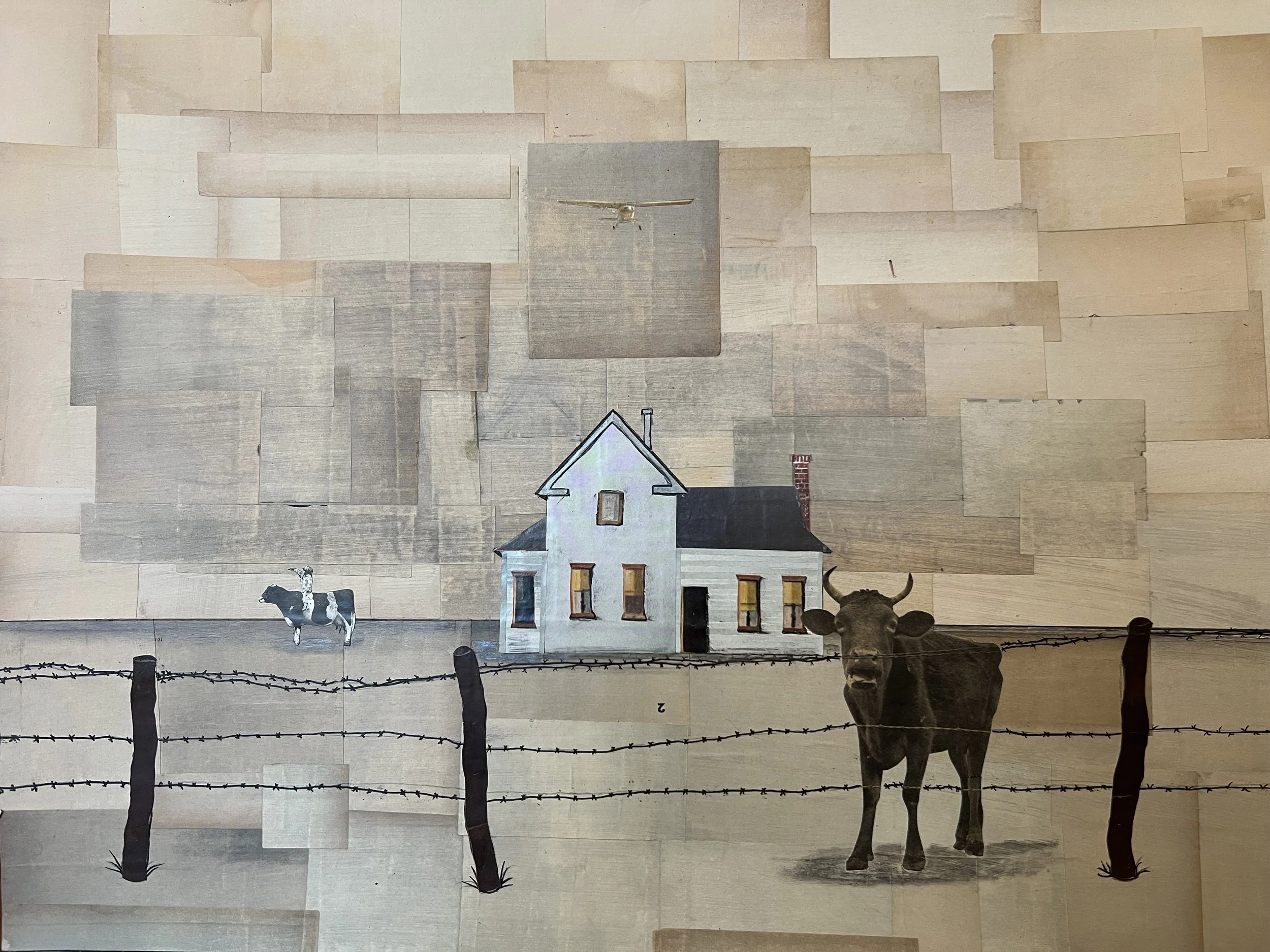 The Dividing Line.jpeg