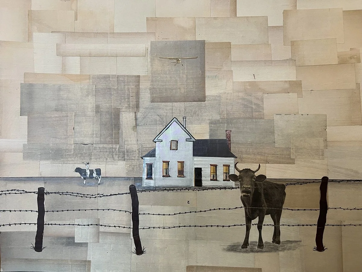 The Dividing Line.jpeg