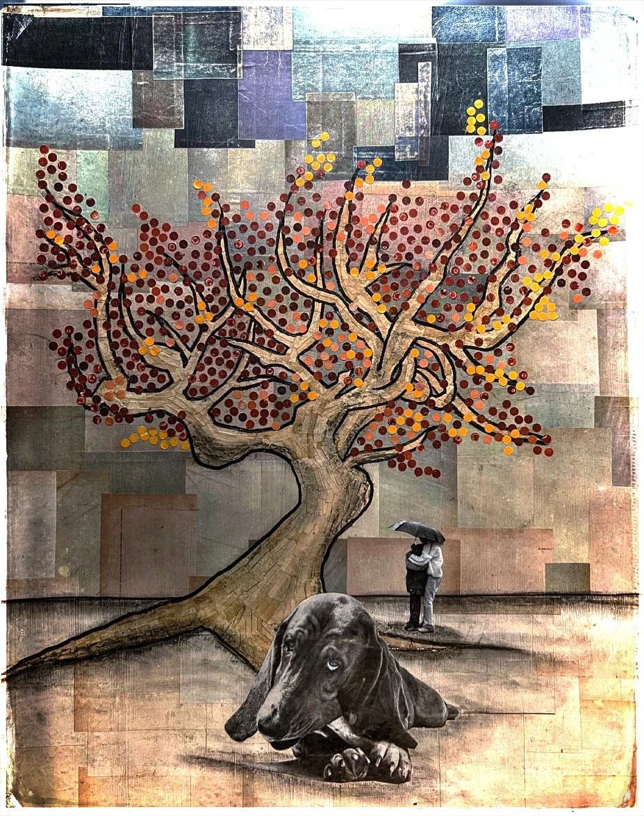 The Gradual Transition to Autumn.jpg