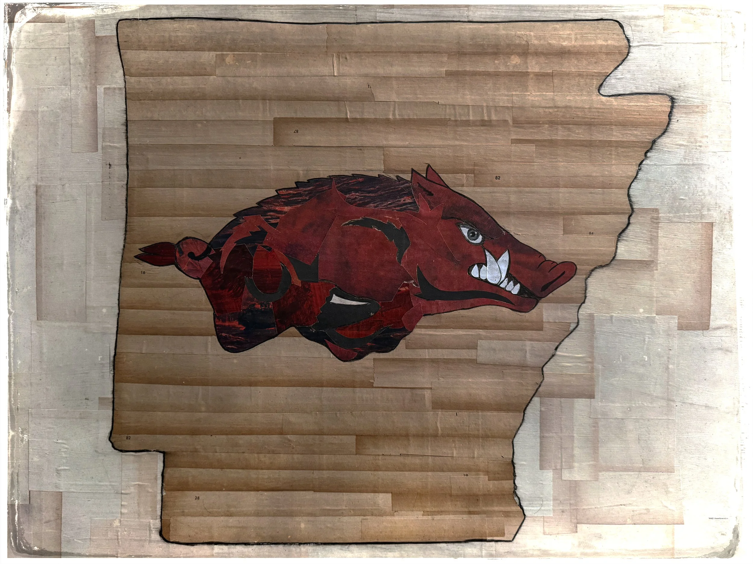 Razorback Nation copy.jpg
