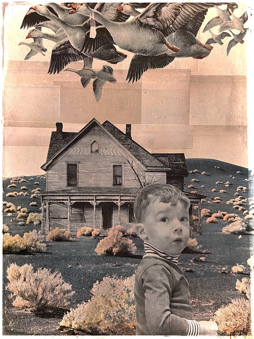 A Lucid Migration.jpg