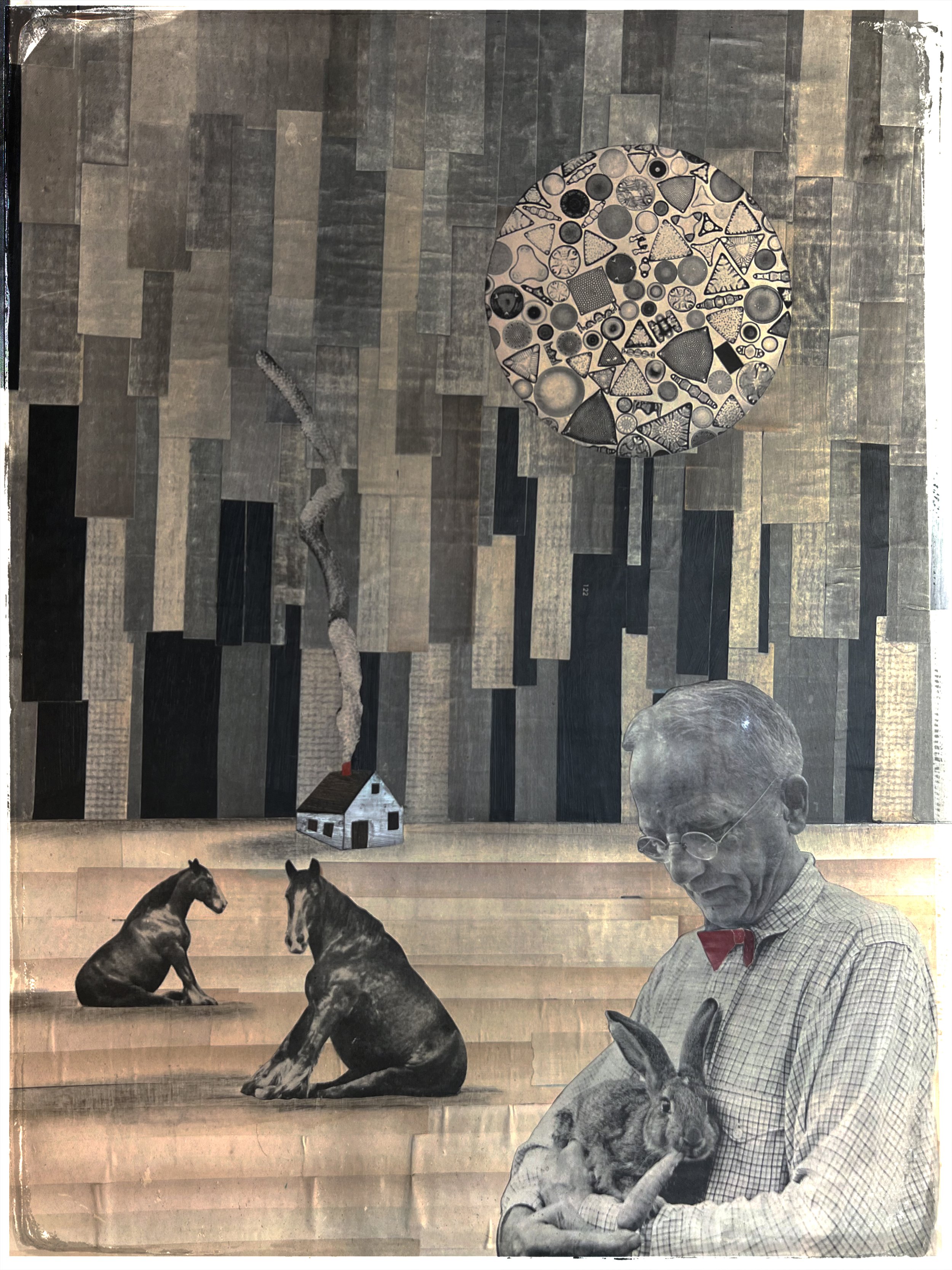 Skeleton of the Sun copy.jpg