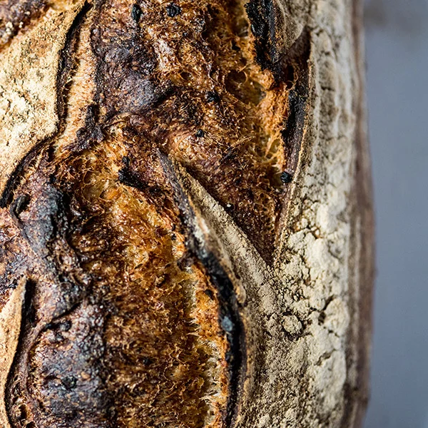 Brown Sourdough Made using a similar method to the white sourdough but incorporating stoneground British wholemeal flour and a mix of cooked whole wheat and rye grains, cracked wheat and various other grades of milled wheat and rye. The loaf has a deep and complex flavour but not unpalatably strong with a satisfying chew from the cooked whole grains.