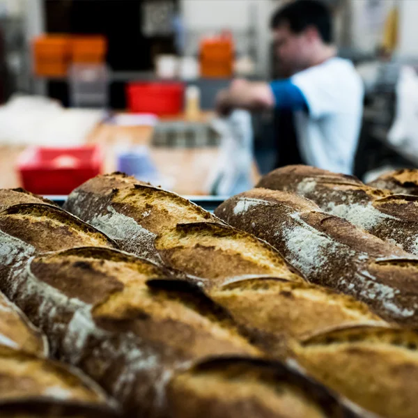 White Baguette Mixed using a blend of stoneground english flours and french style T55 flour. The baguette has a light honeycomb structure with a sweet silky crumb and a crisp toasted cereal flavour to the crust. Levain and pre-fermented dough as well as stoneground semolina form the dough which is cold fermented overnight to develop exceptional flavours.