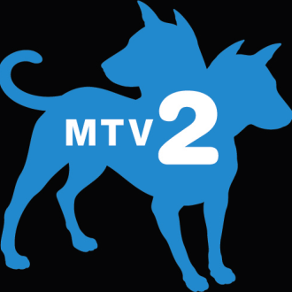 mtv2.png