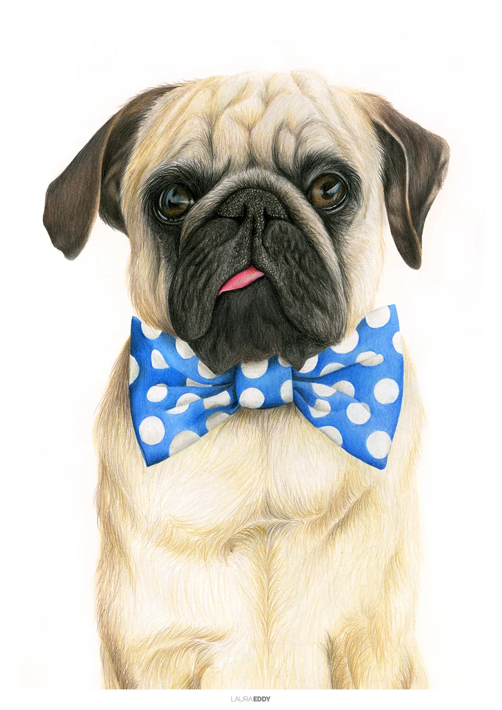 laura-eddy-drawing-bowtie-puglife-branded.jpg