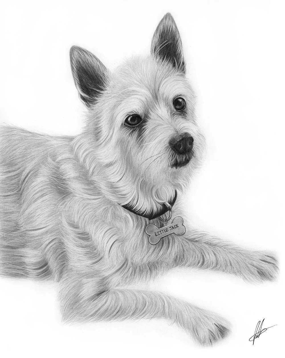 laura-eddy-drawing-little-jack-russell.jpg