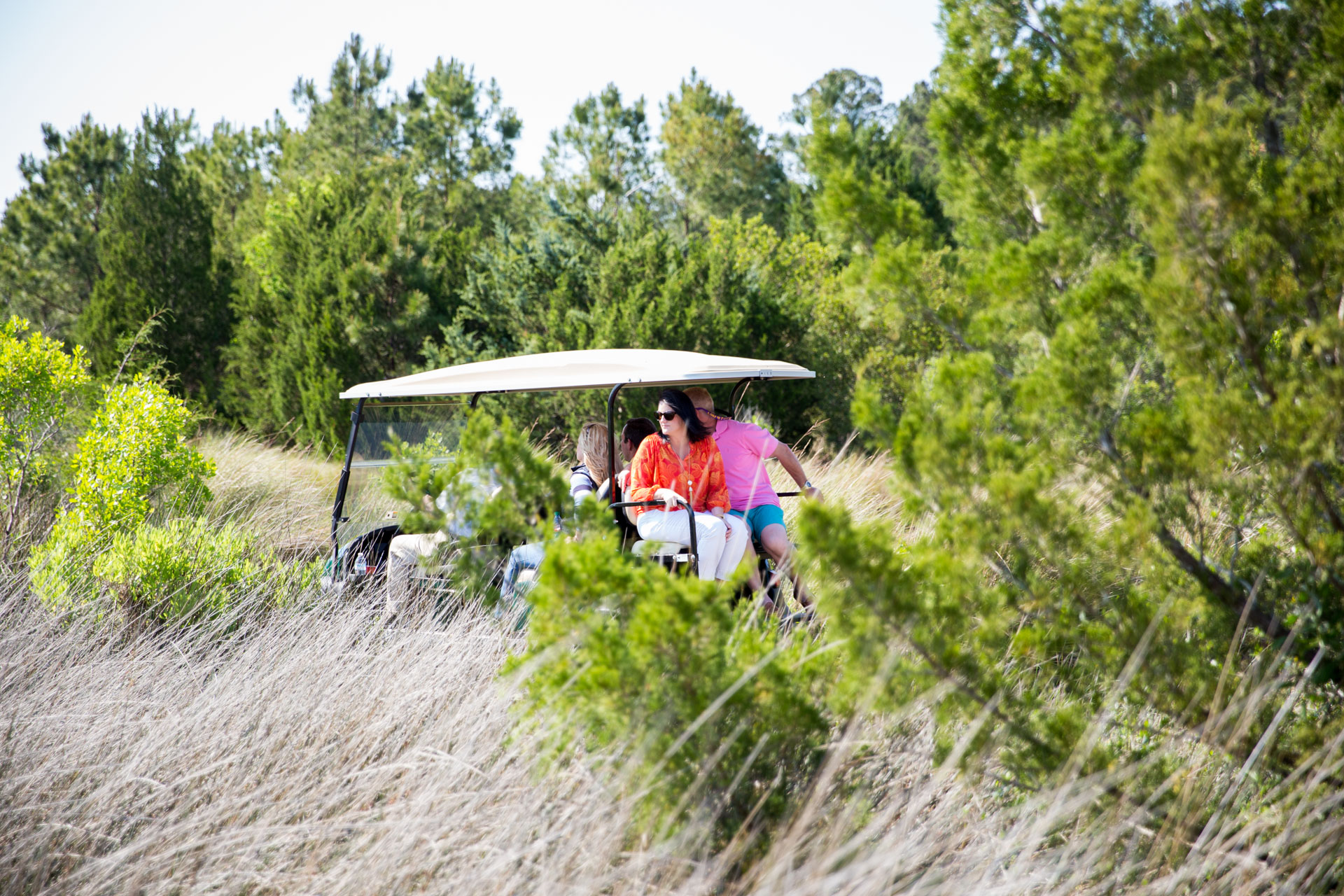     Tour the plantation grounds 