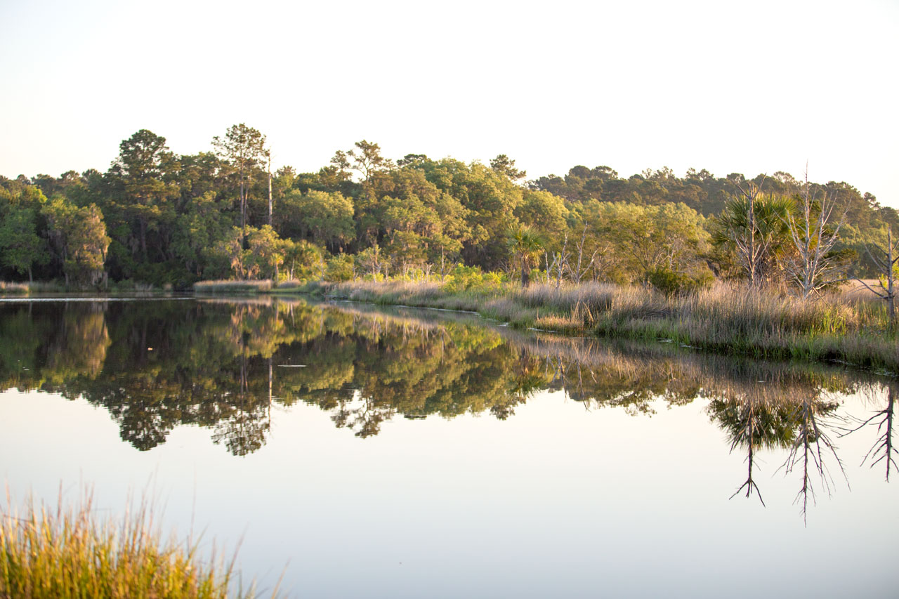 The Duck Pond