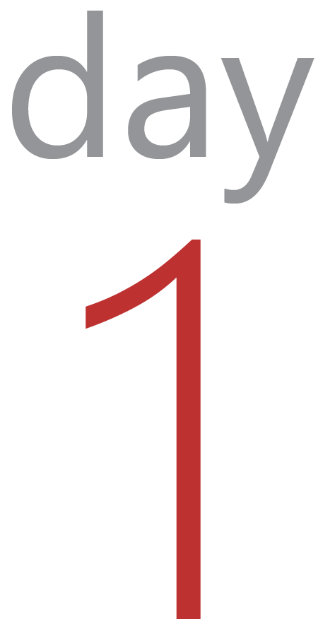 Day 1.png