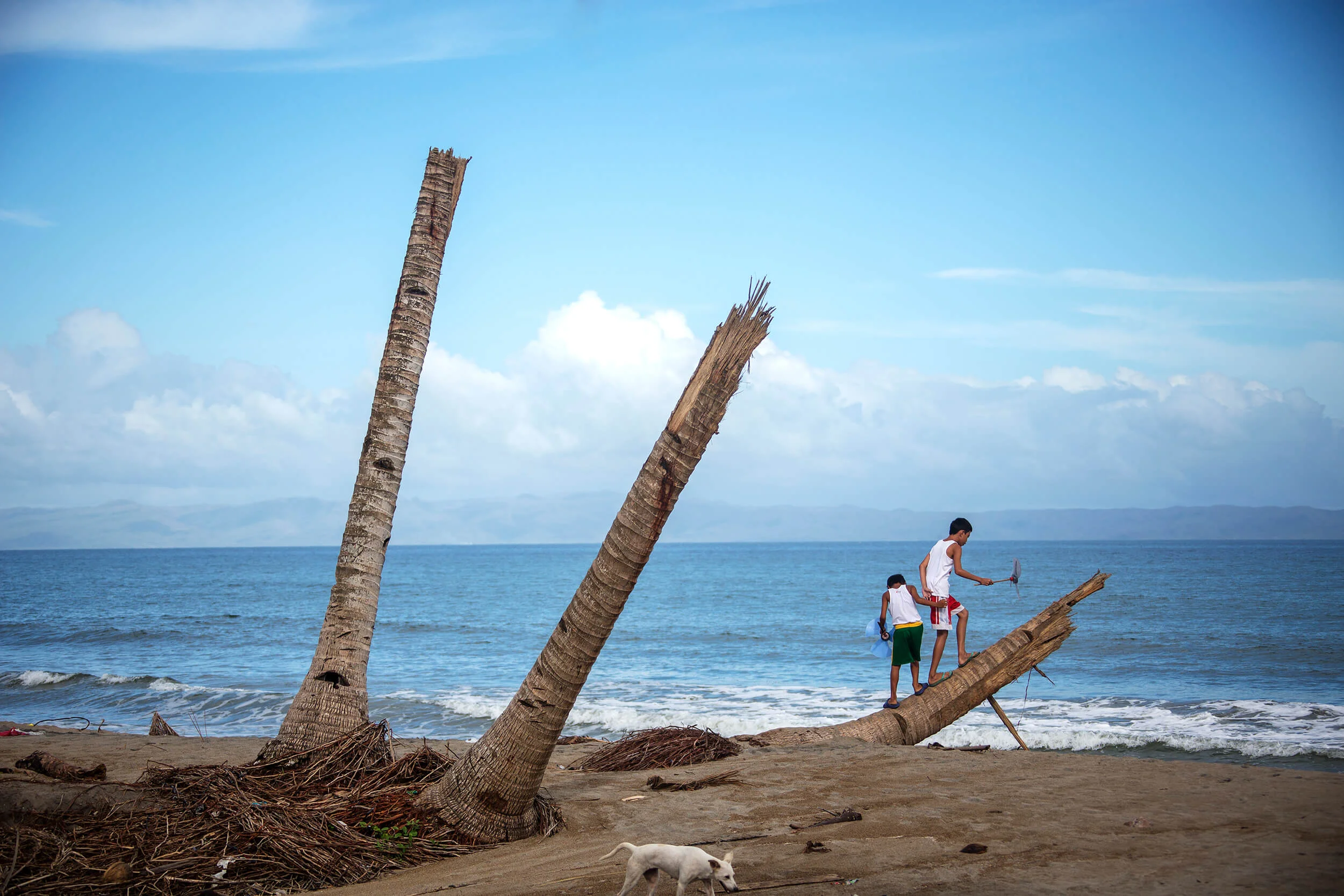 Philippines after Typhoon Haiyan November 2013.