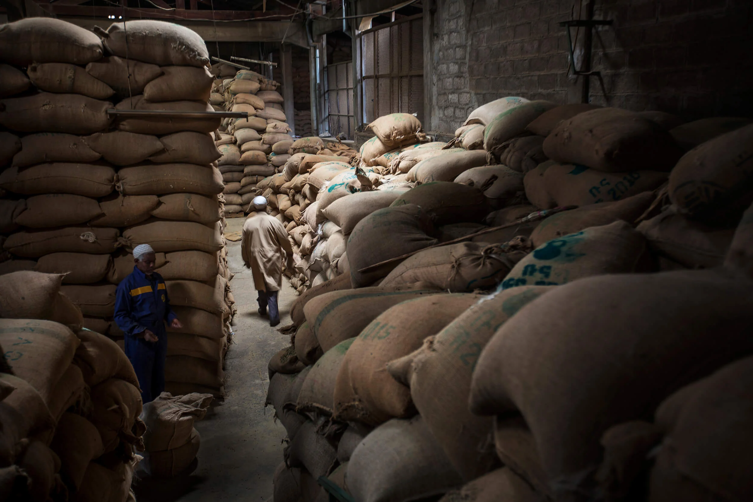 Export stock of coffee in Addis Ababa, Ethiopia.
