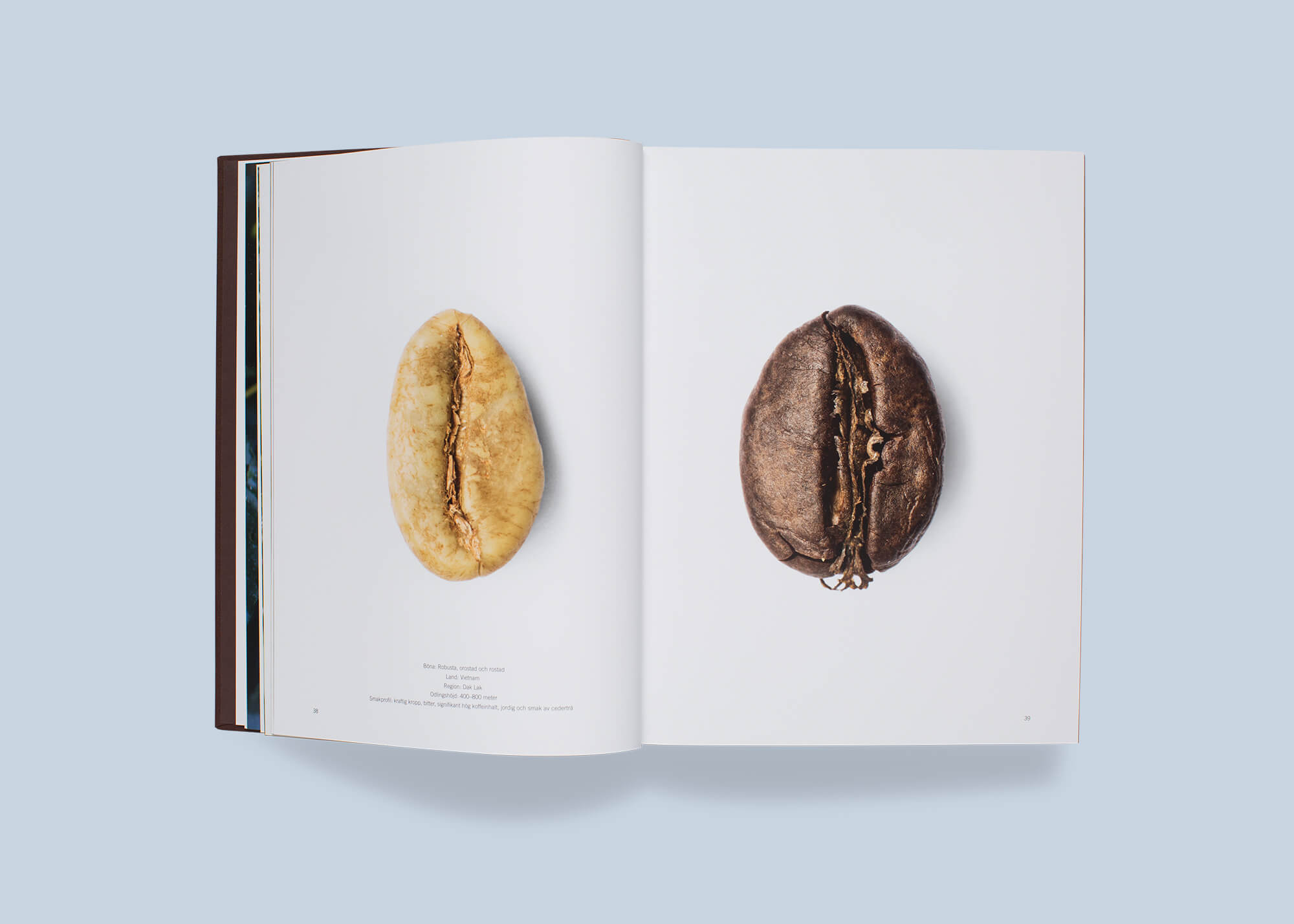 kaffe_26.jpg