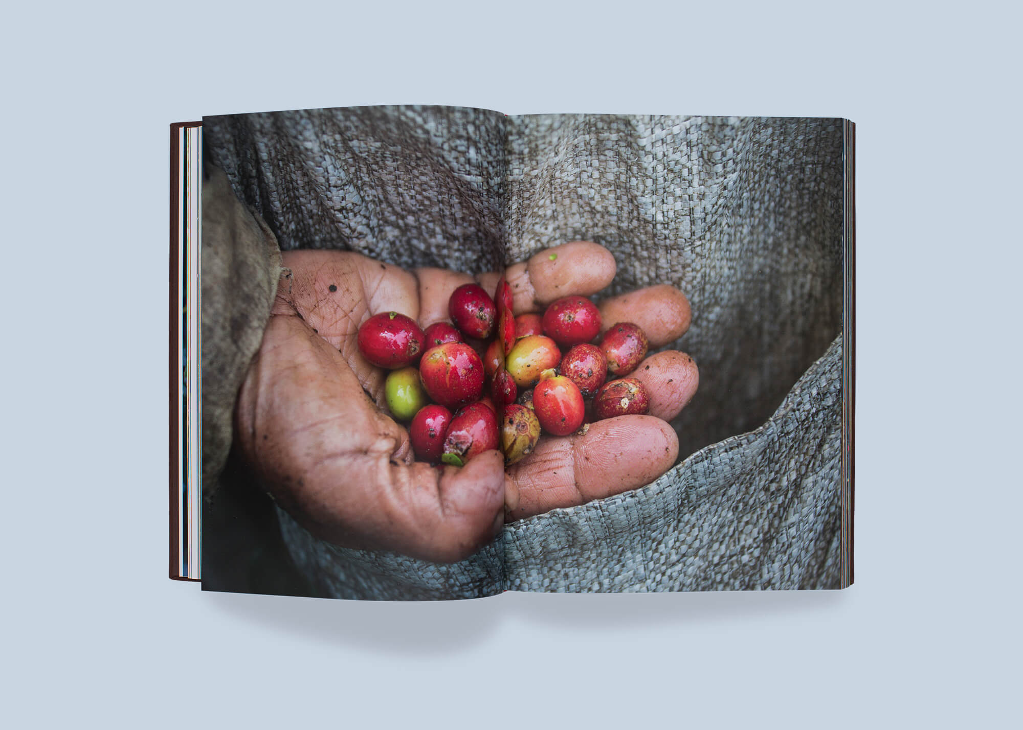 kaffe_34.jpg
