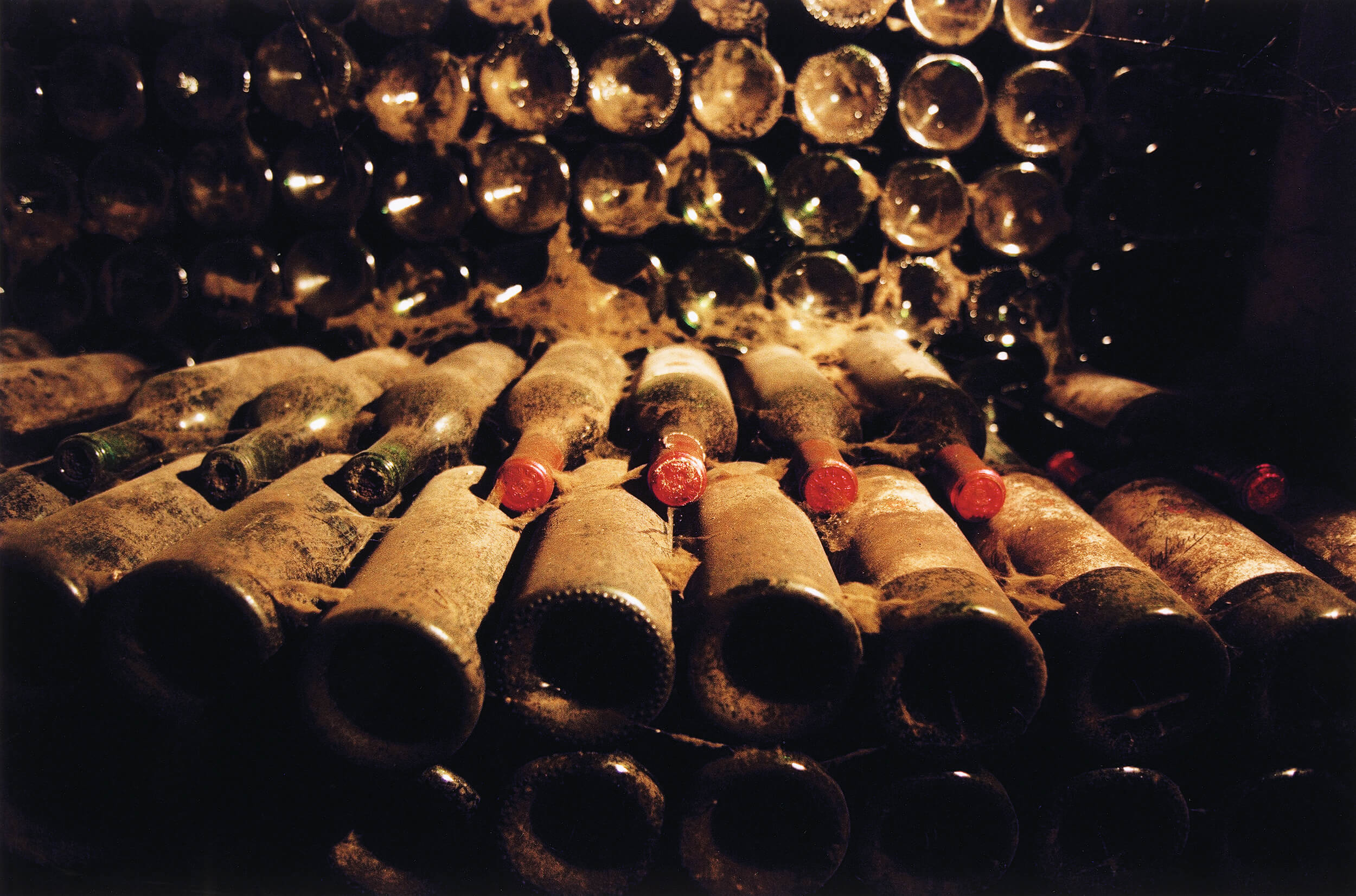  The wine cellar at Chateau Musar in Gazir not far from Beirut. The wine bottles in the picture are vintage 1933. 