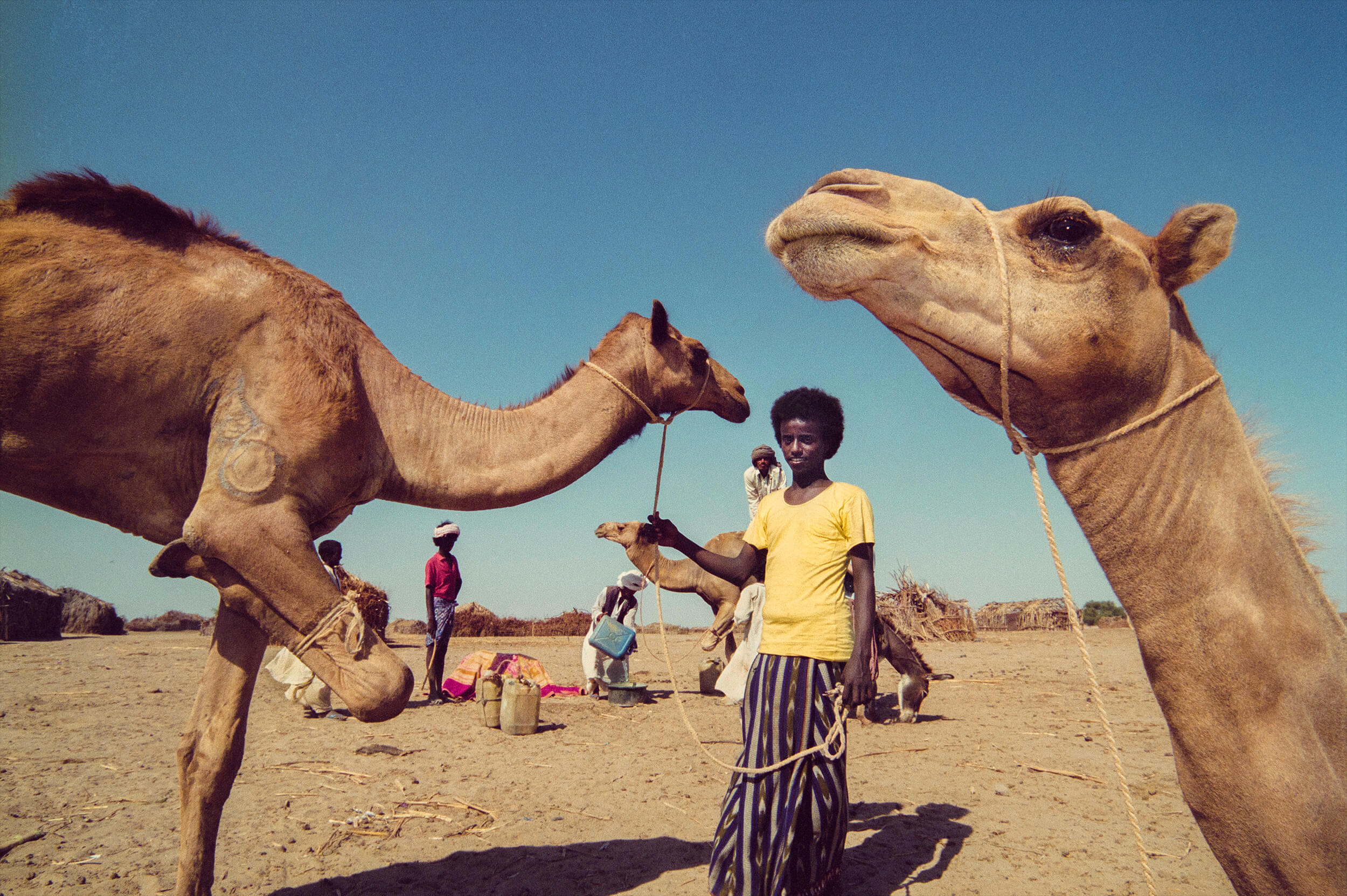  Ethnic group Rashaida in the Eritrean lowland. 