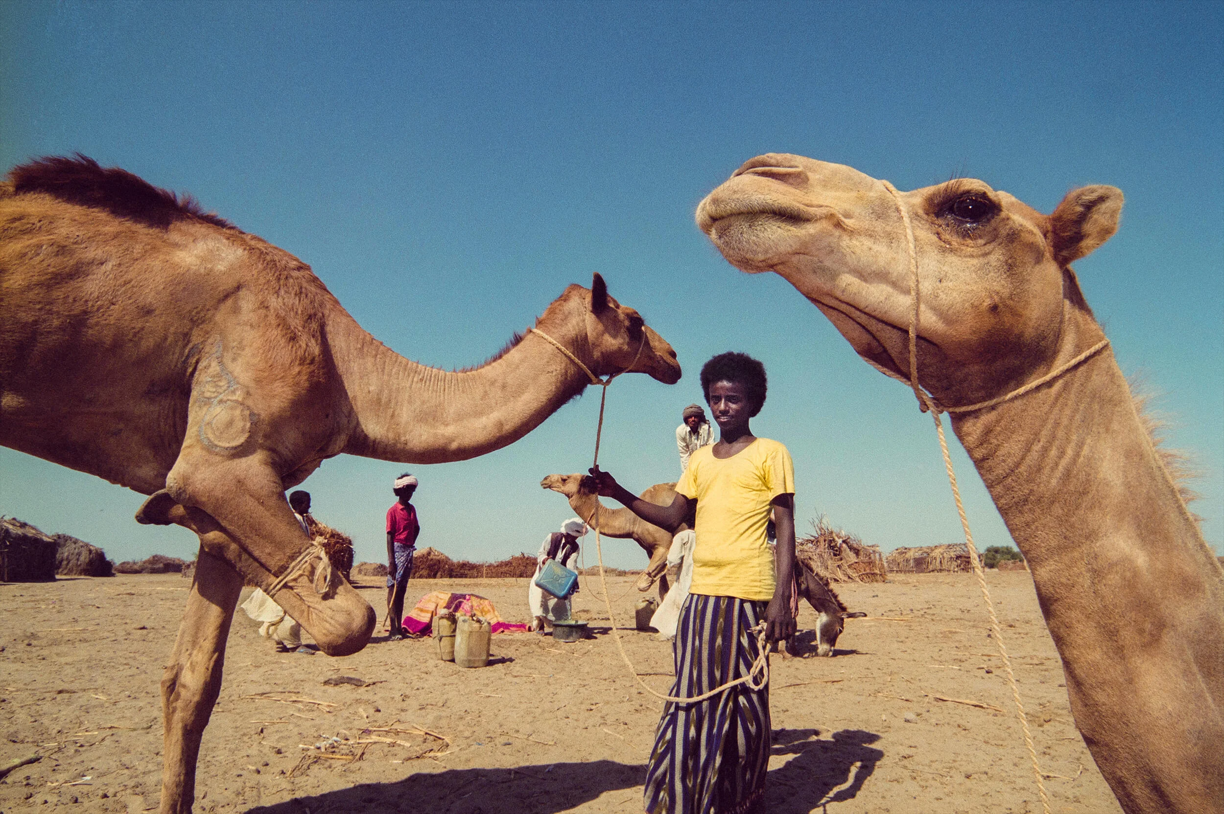 Ethnic group Rashaida in the Eritrean lowland.
